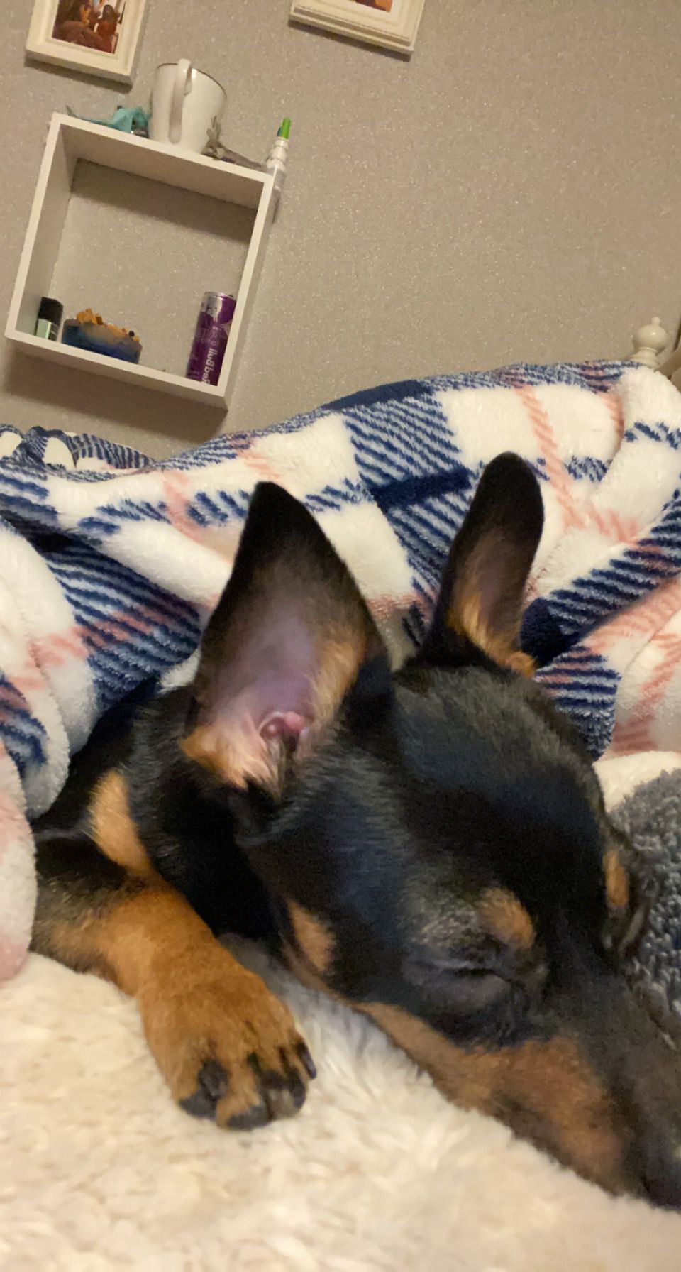 image-6