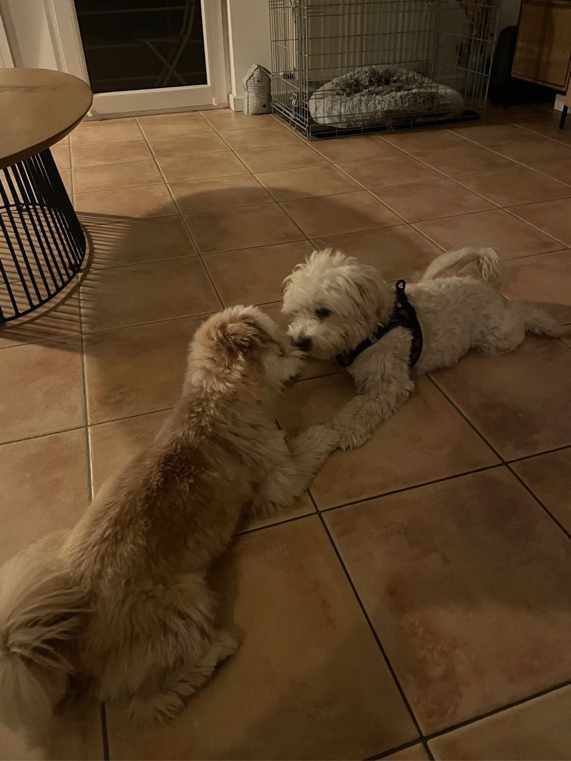 image-5