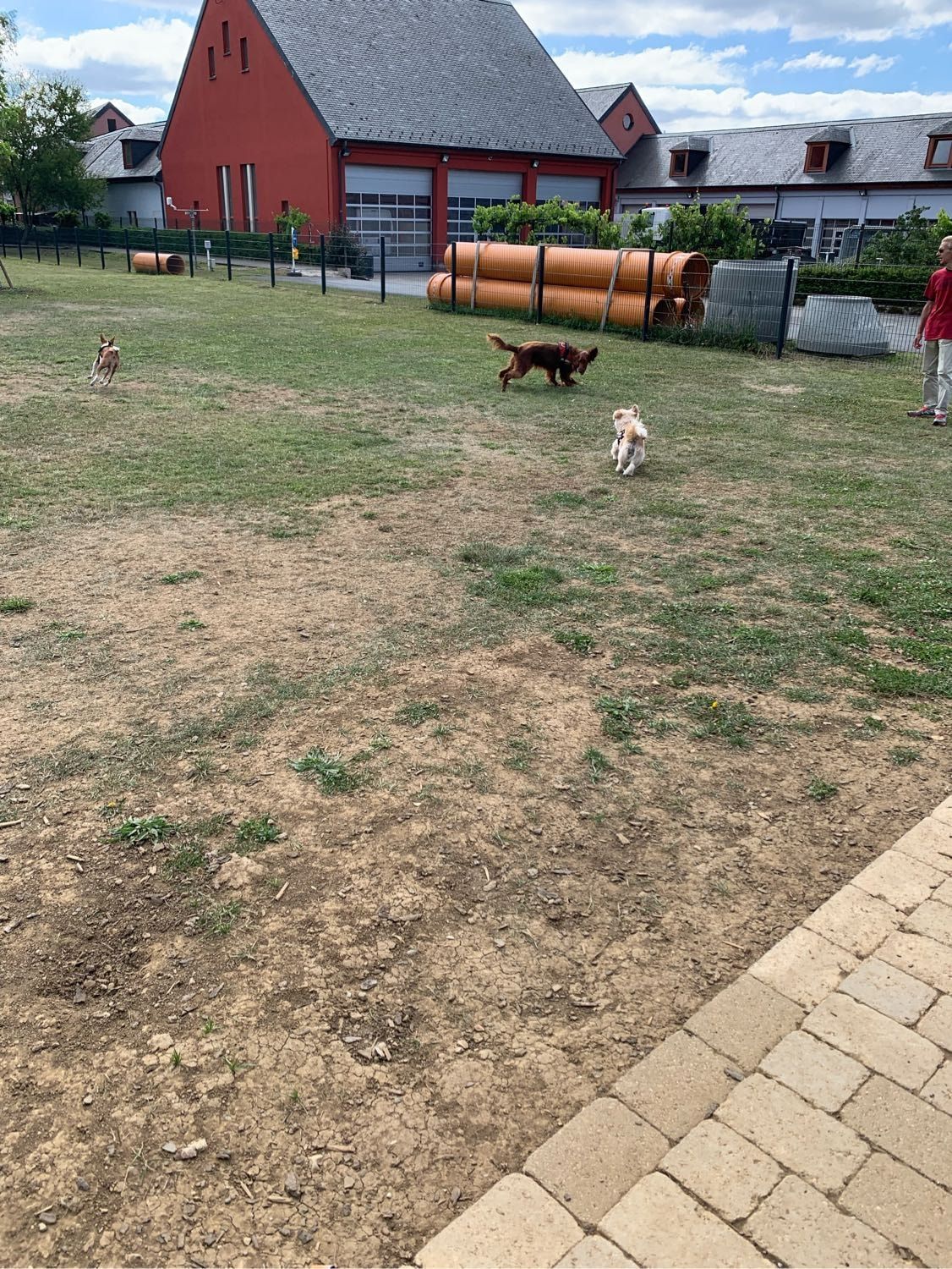 image-9