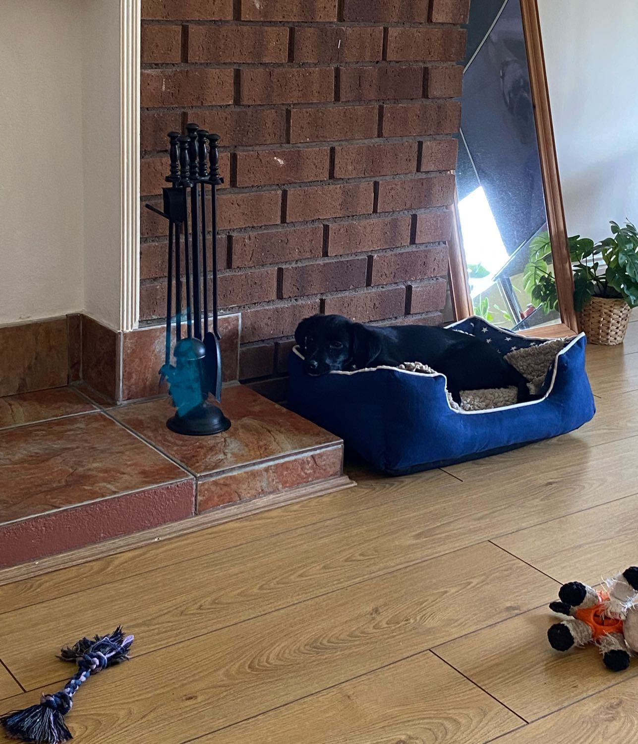 image-4
