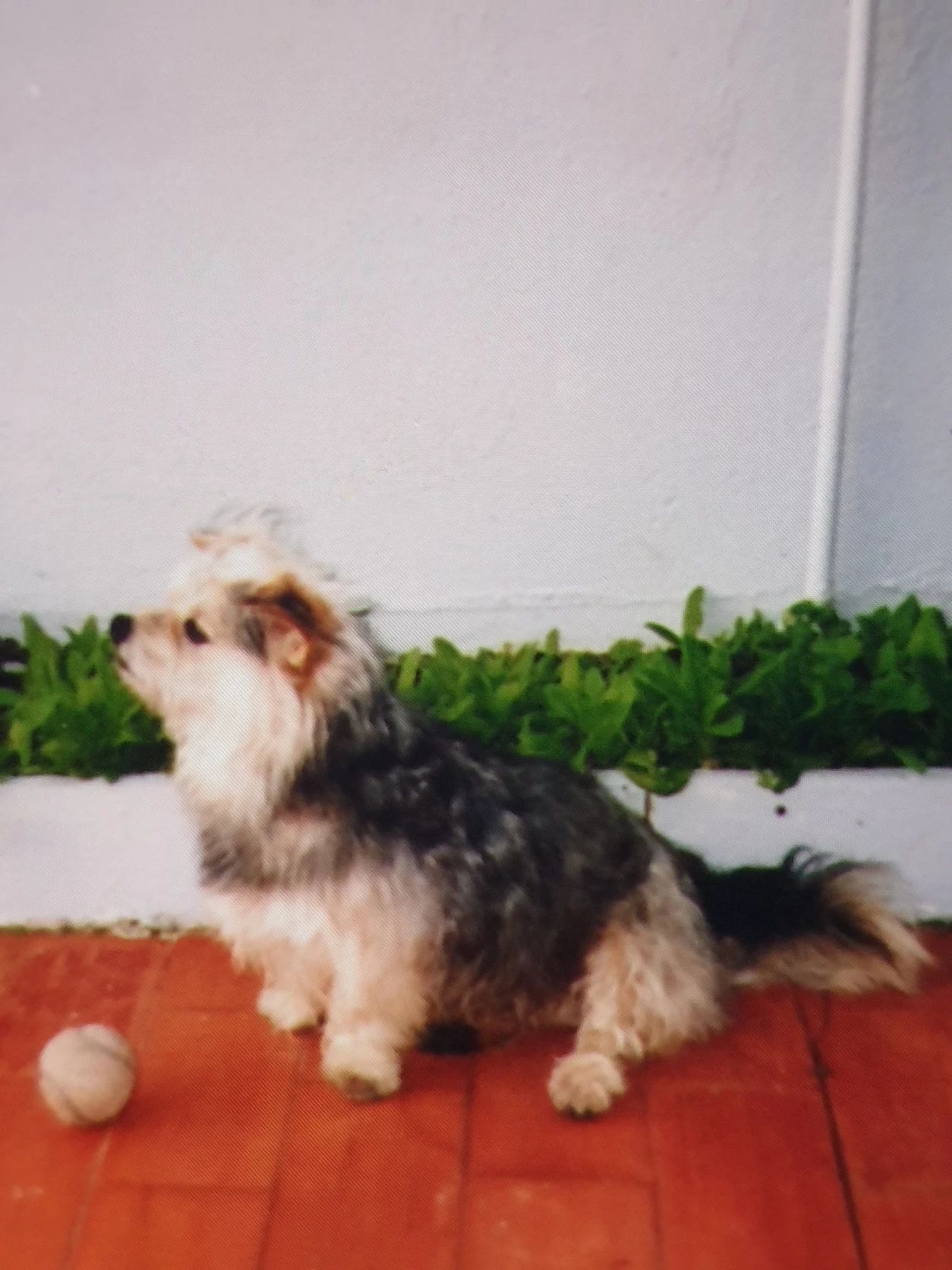 image-6