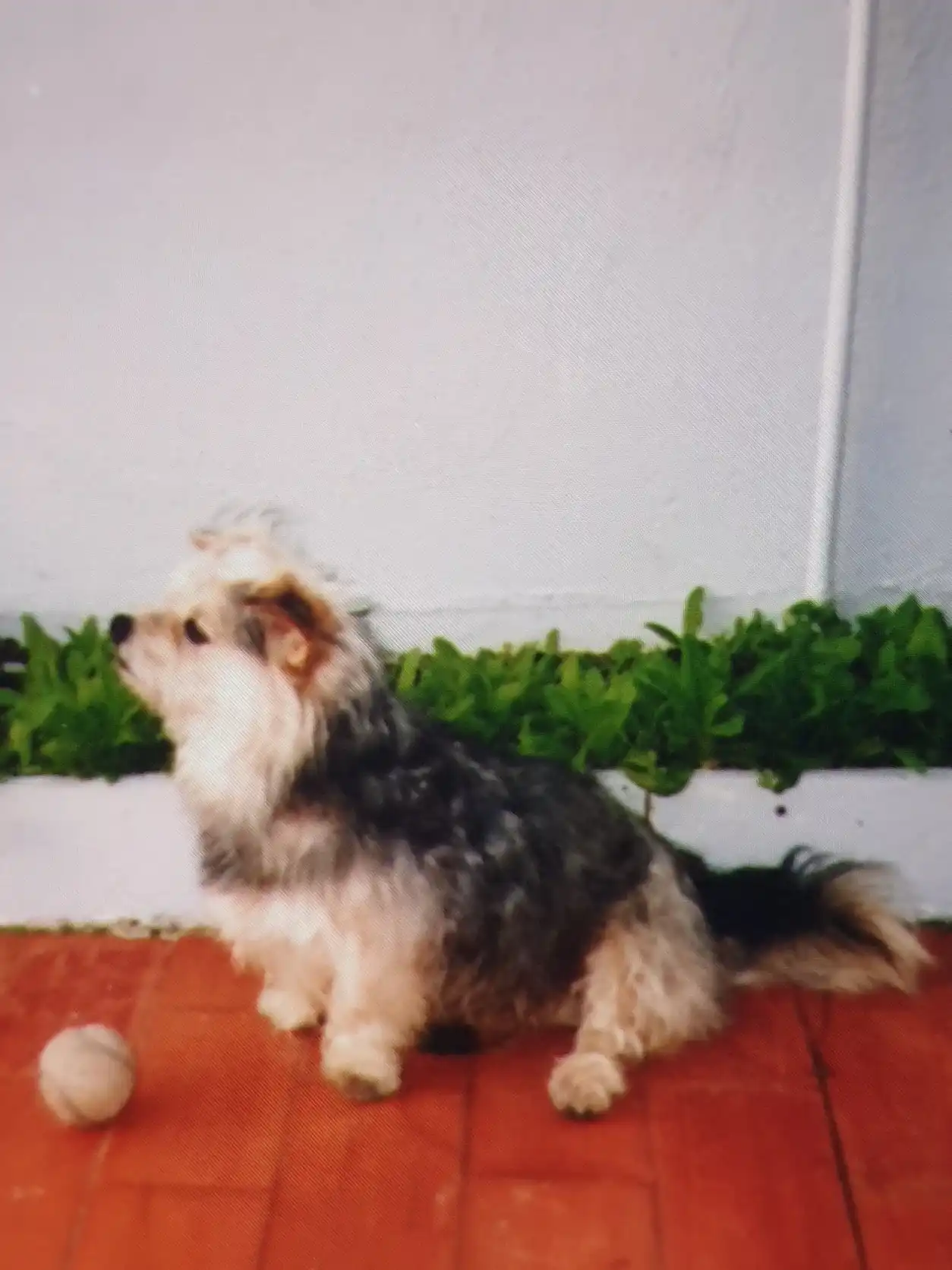 image-6