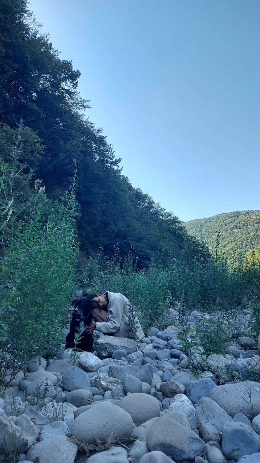 image-7