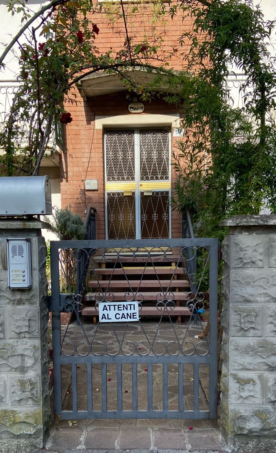 image-15