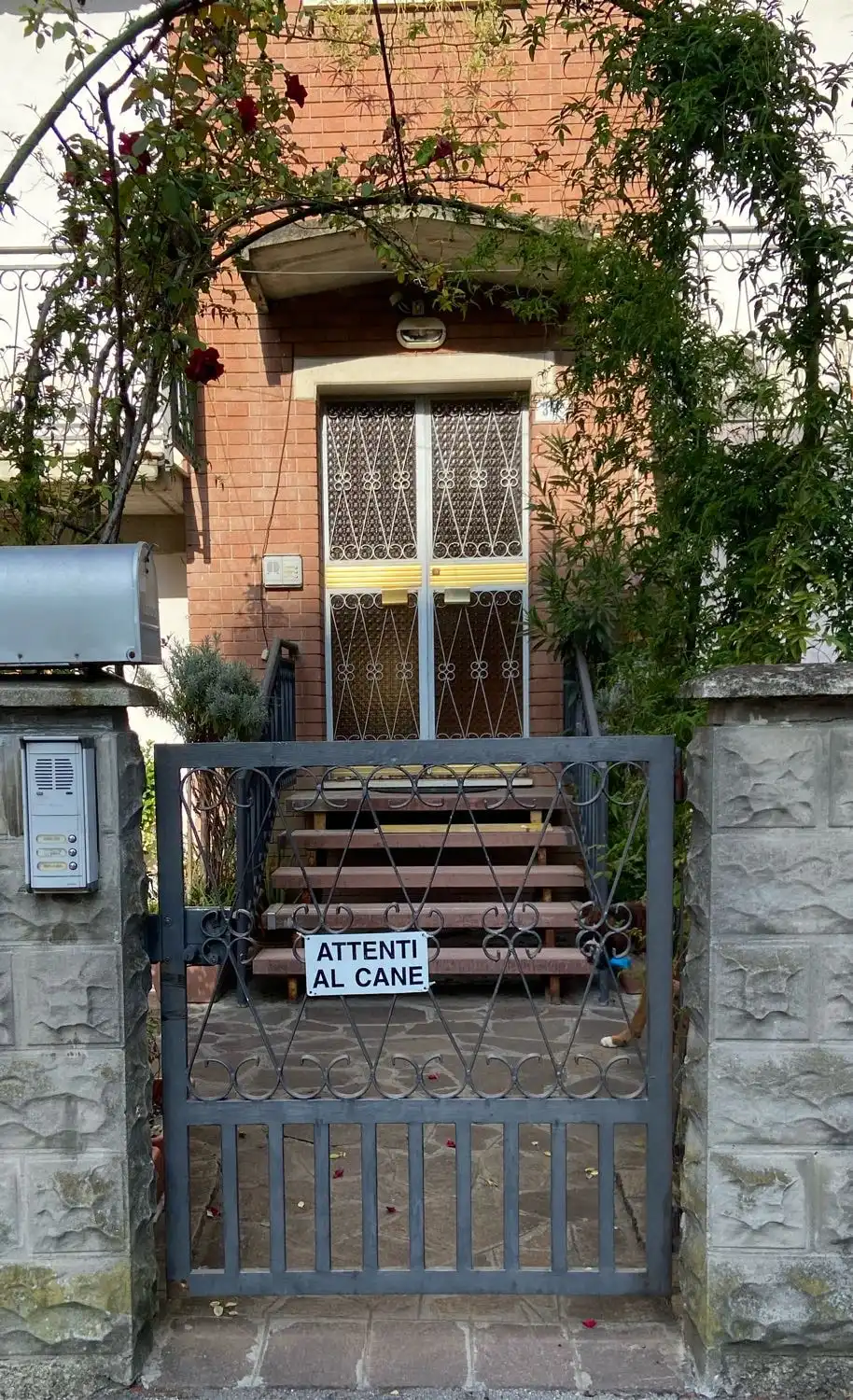 image-15