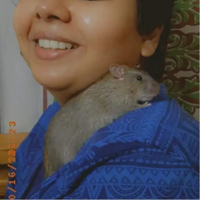 image-5