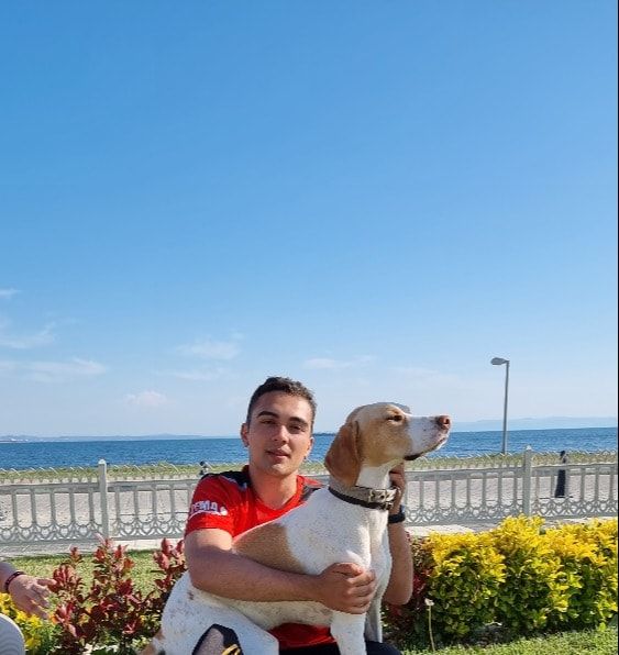 image-3