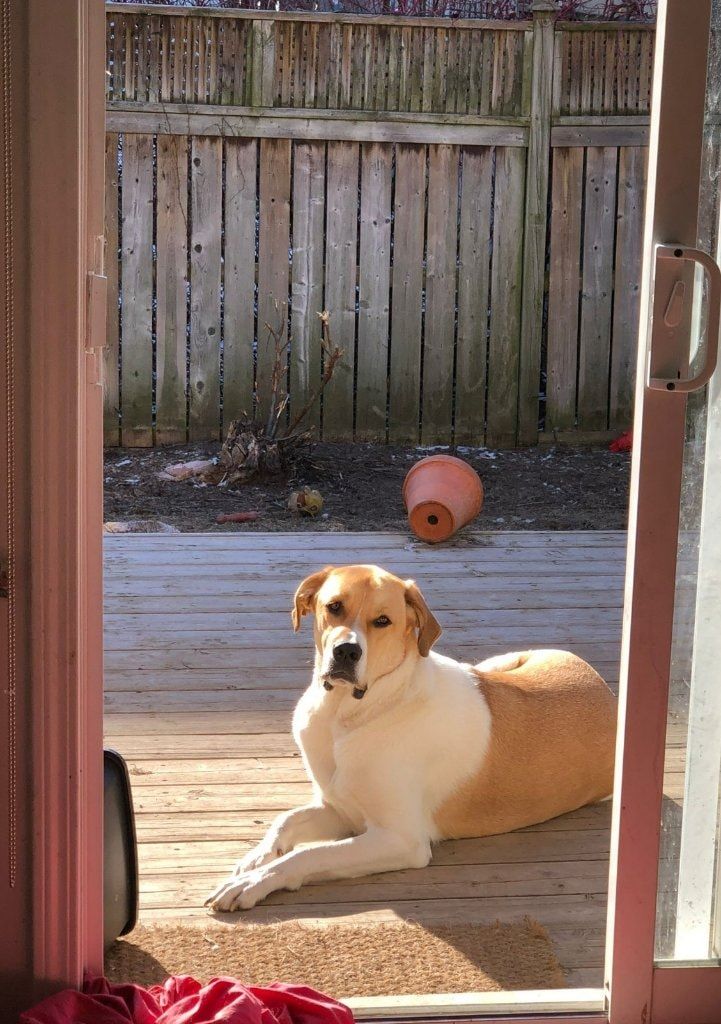 image-5