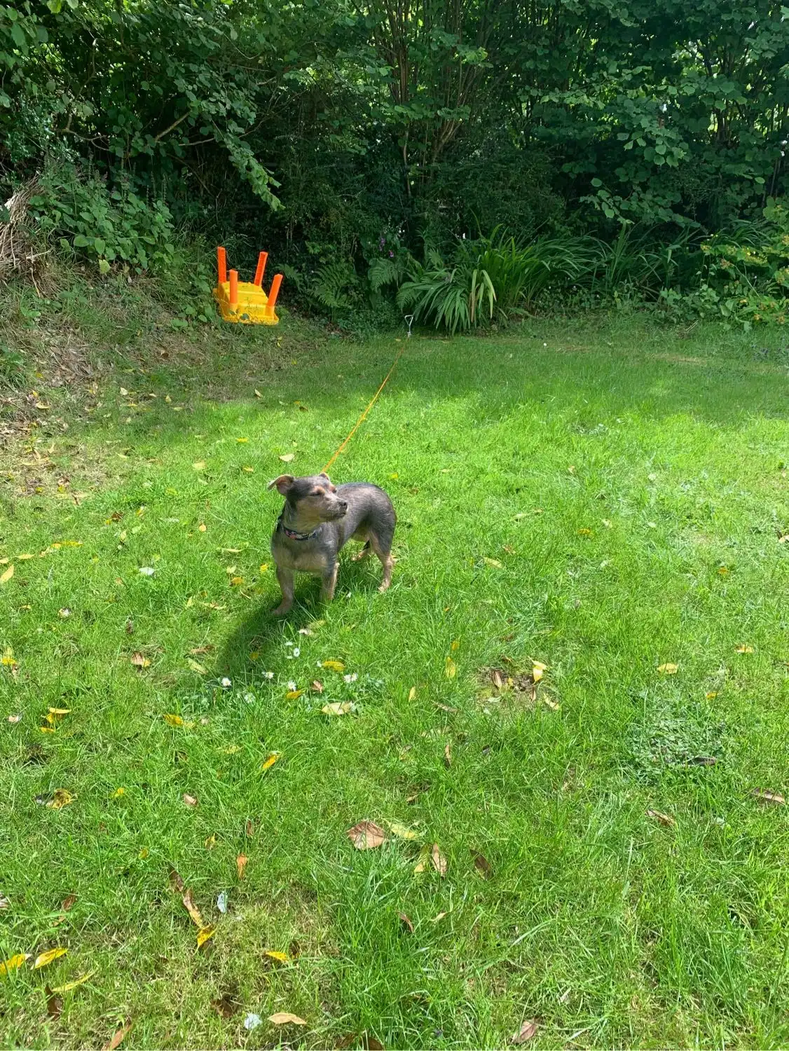 image-14