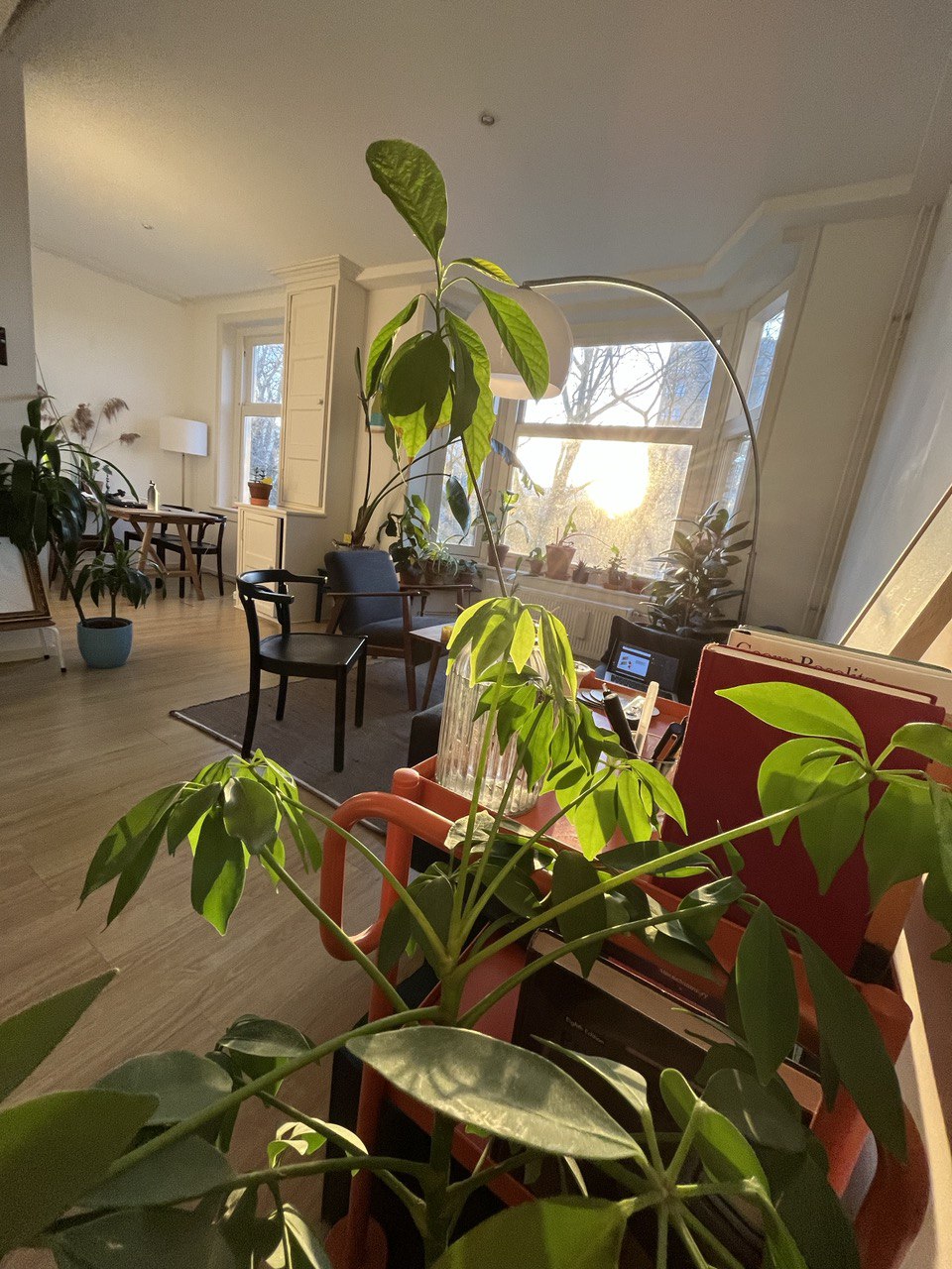 image-14