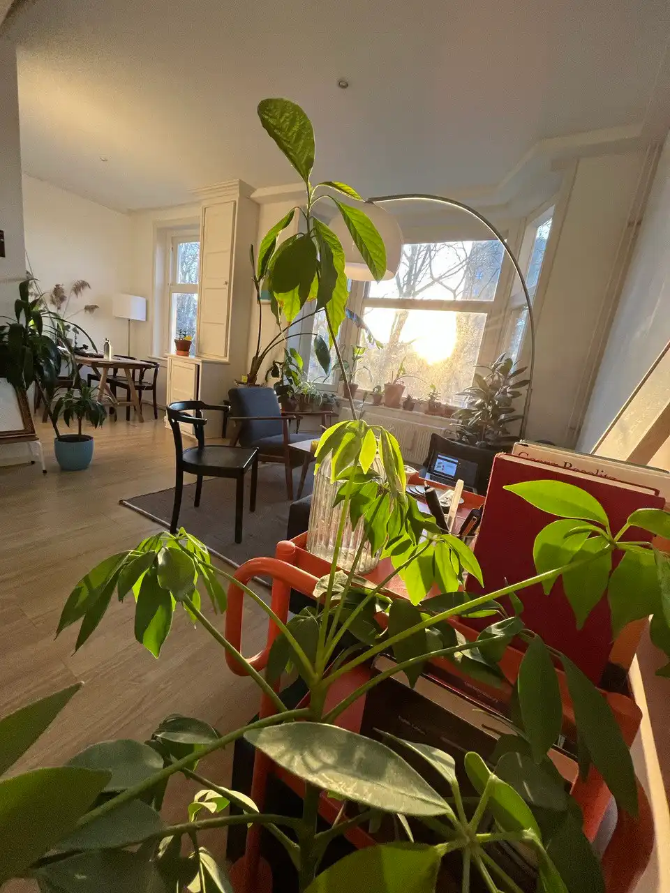 image-14