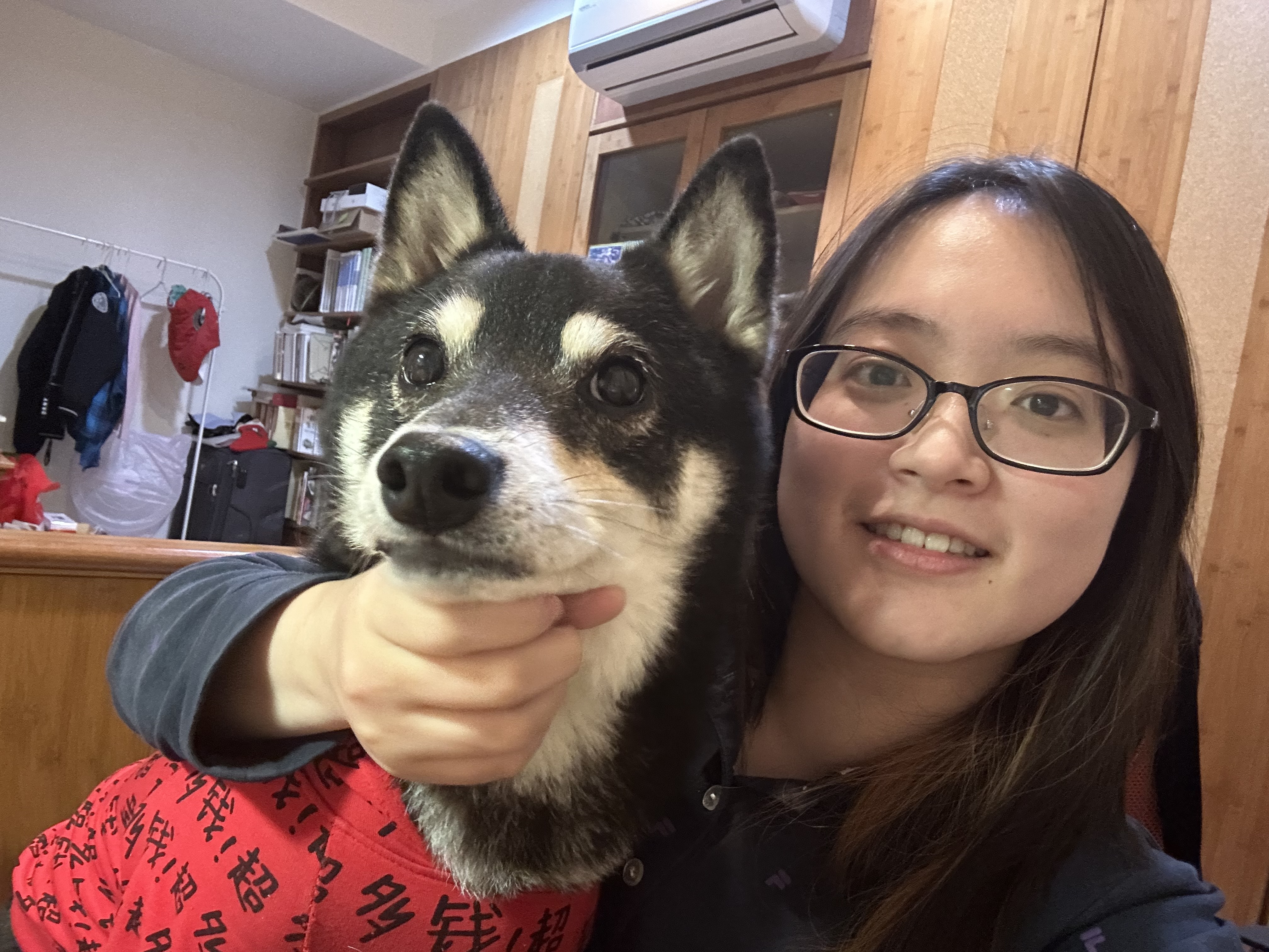 image-11