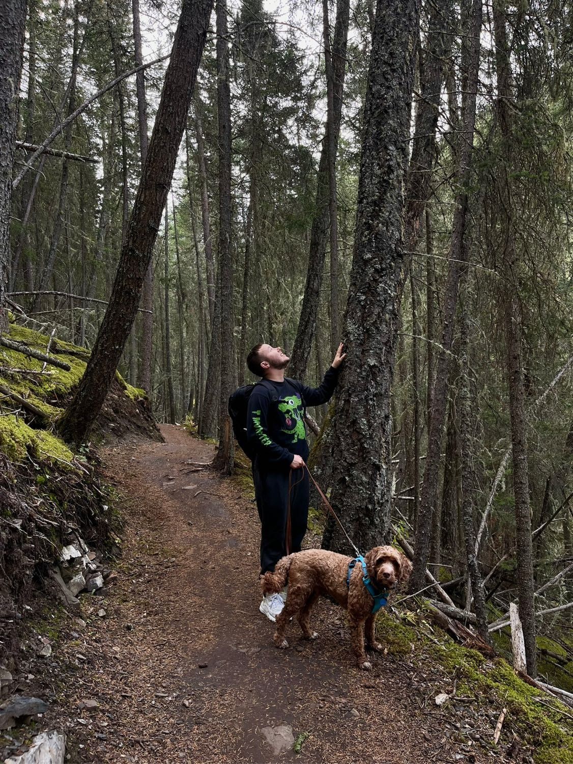 image-1