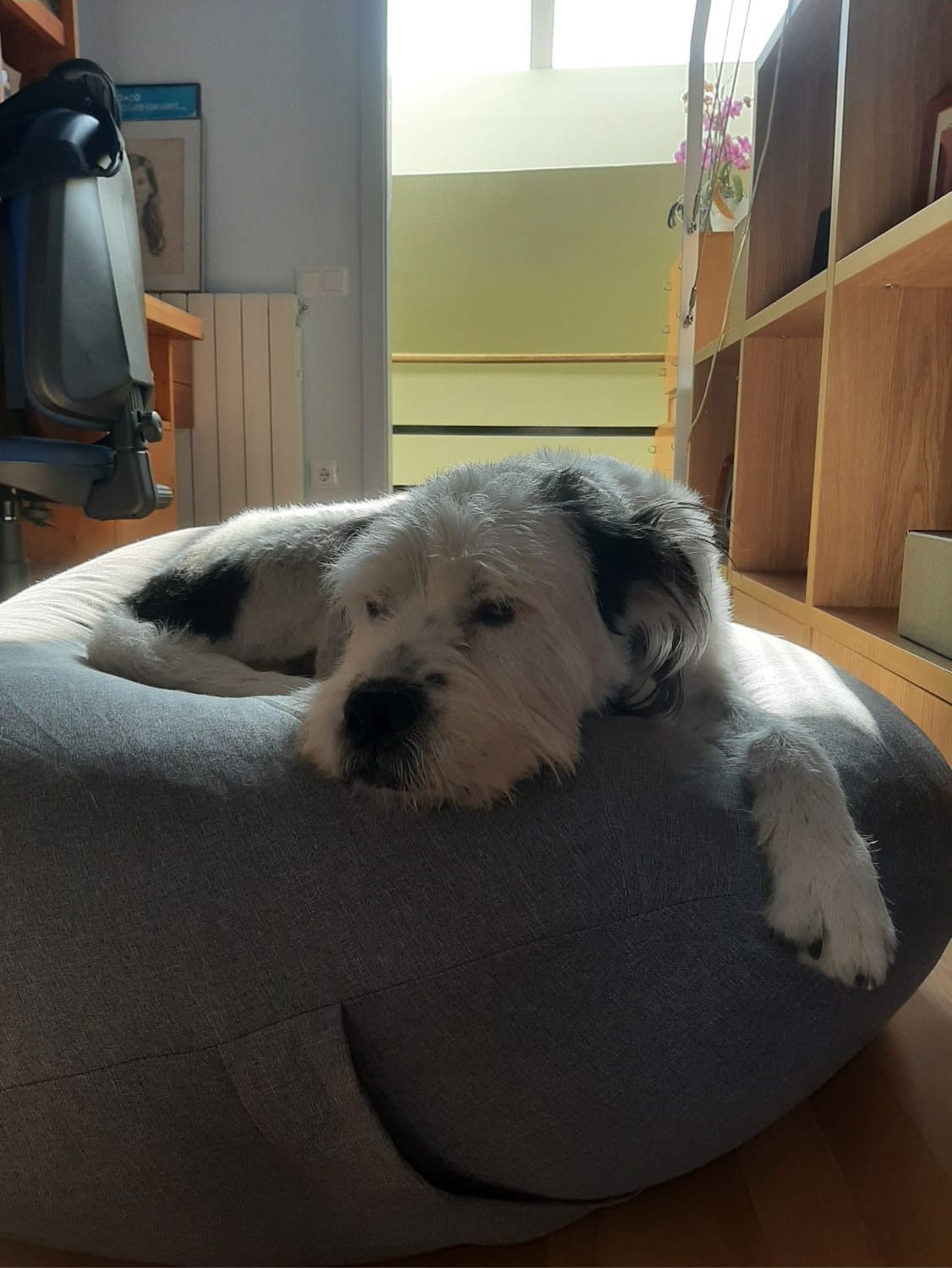 image-9