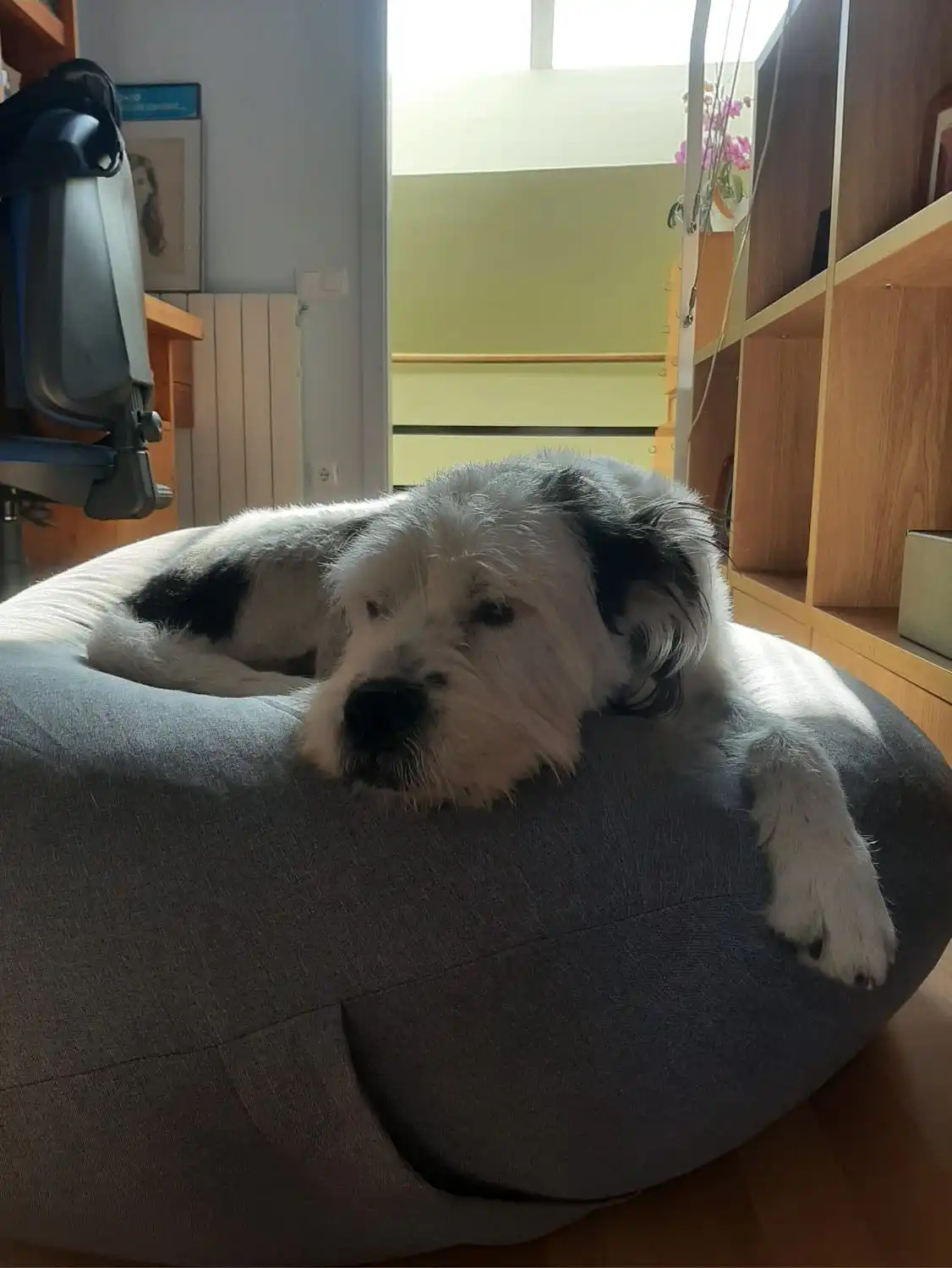 image-9
