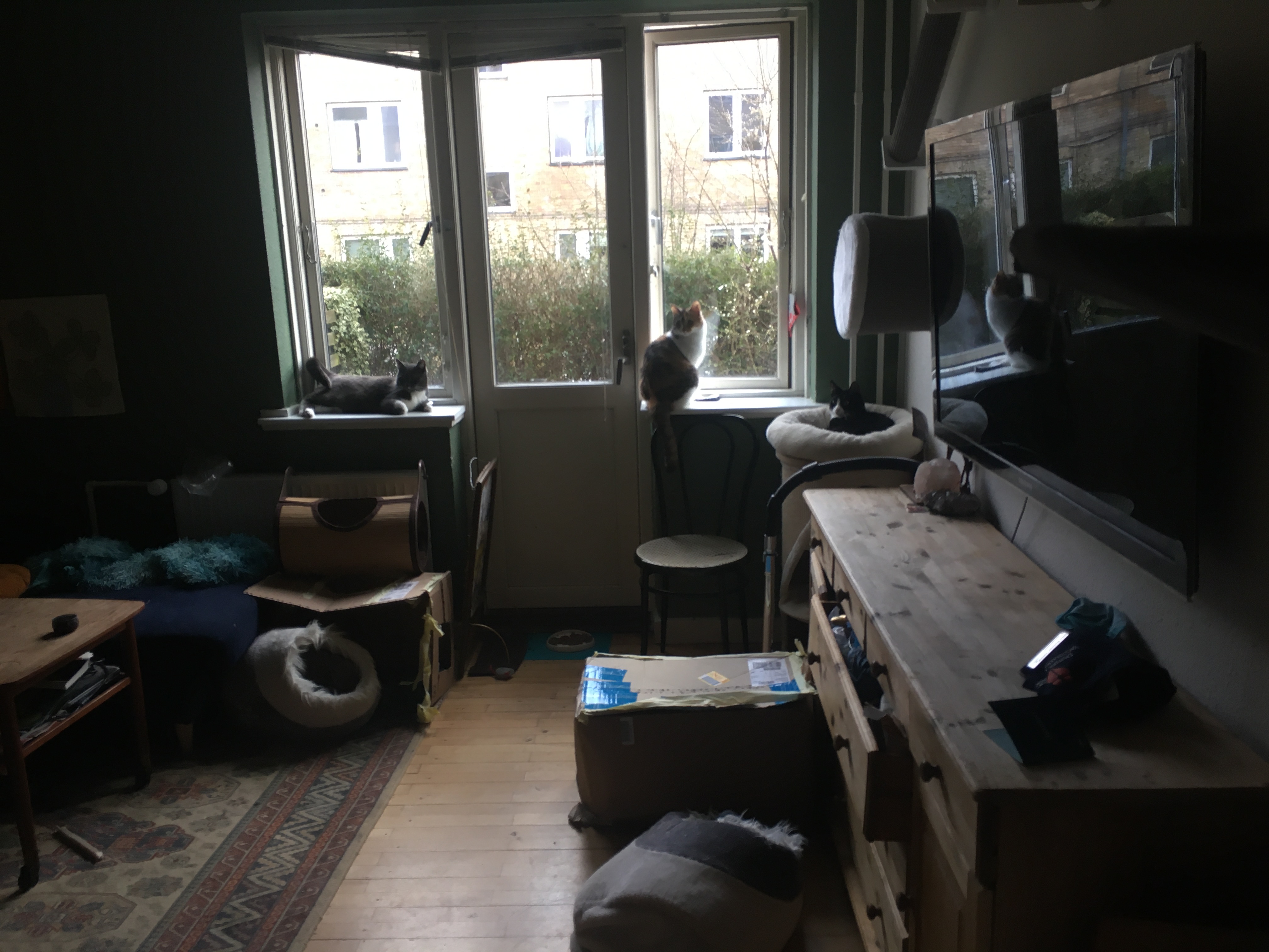 image-9