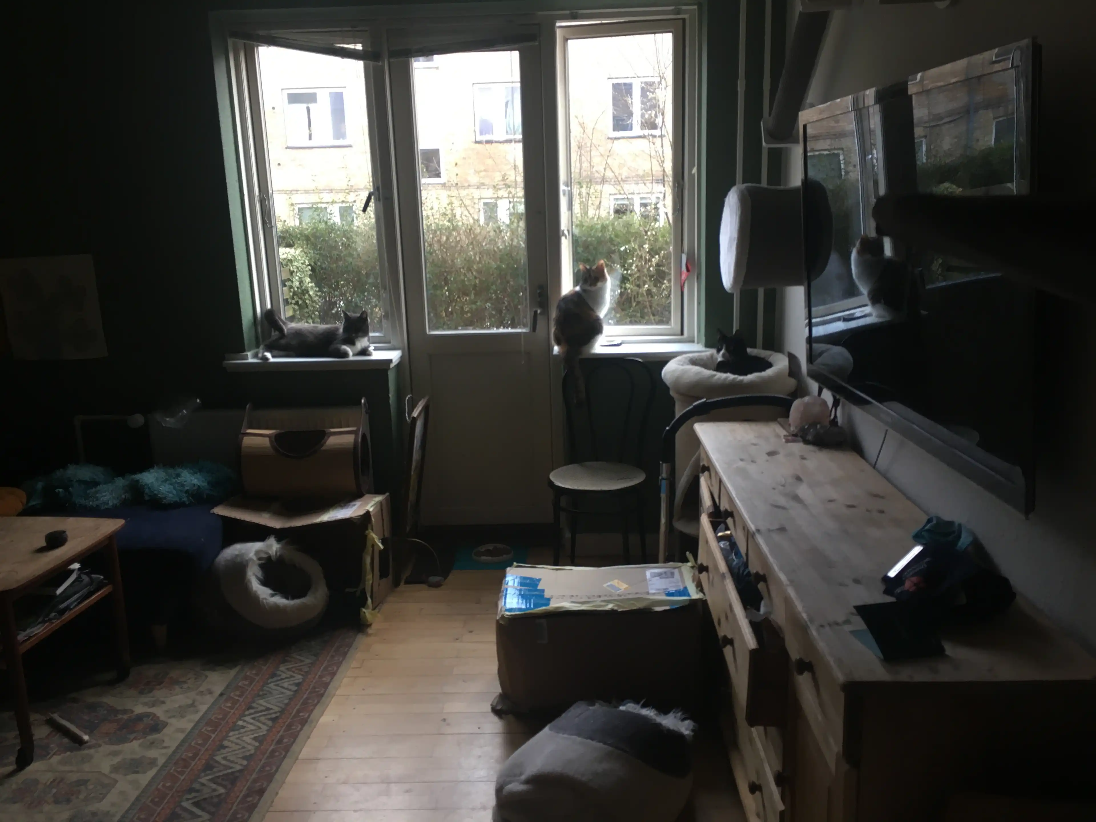image-9