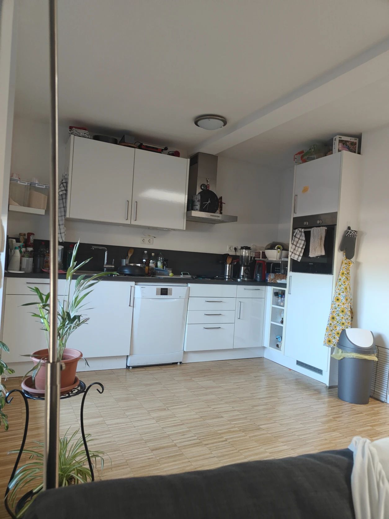 image-18