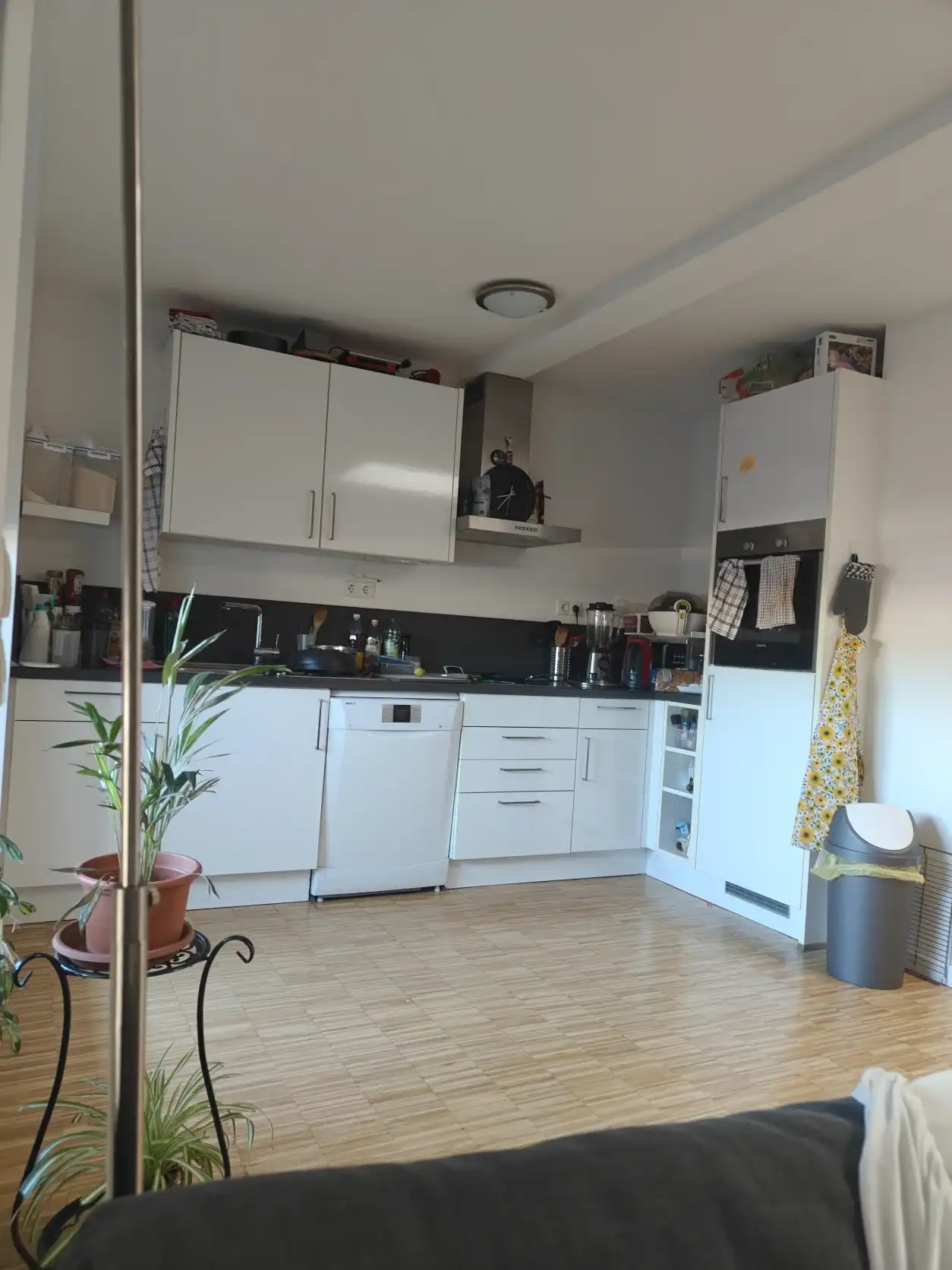 image-18