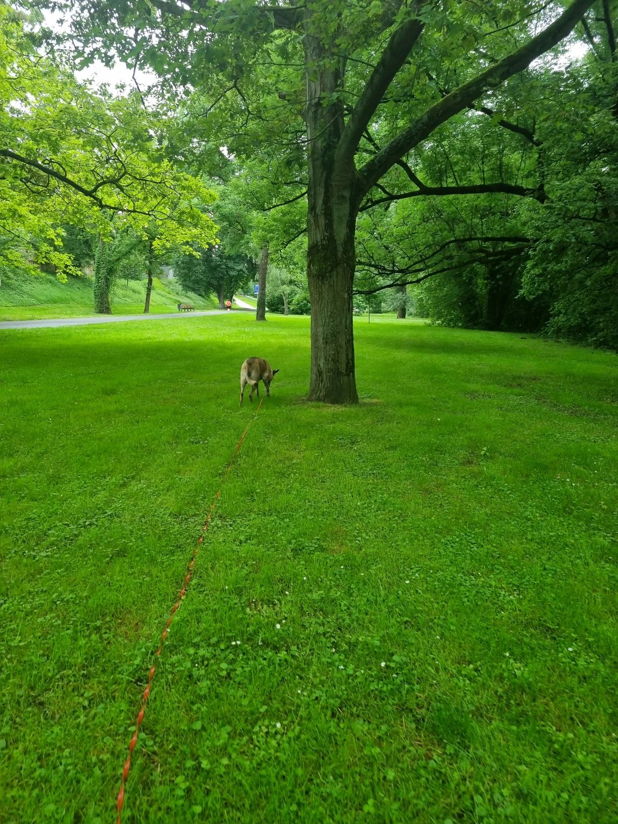 image-20