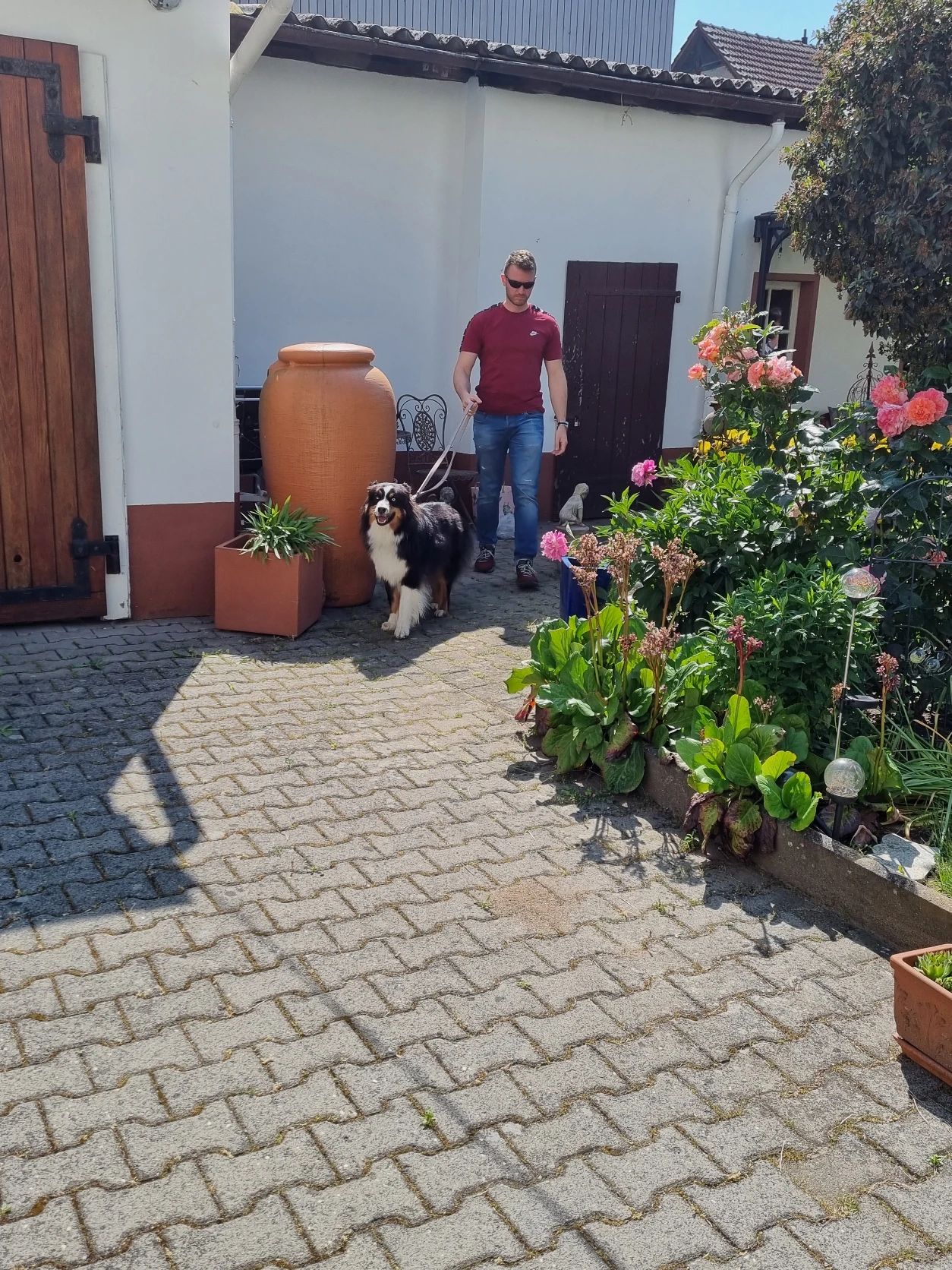 image-21