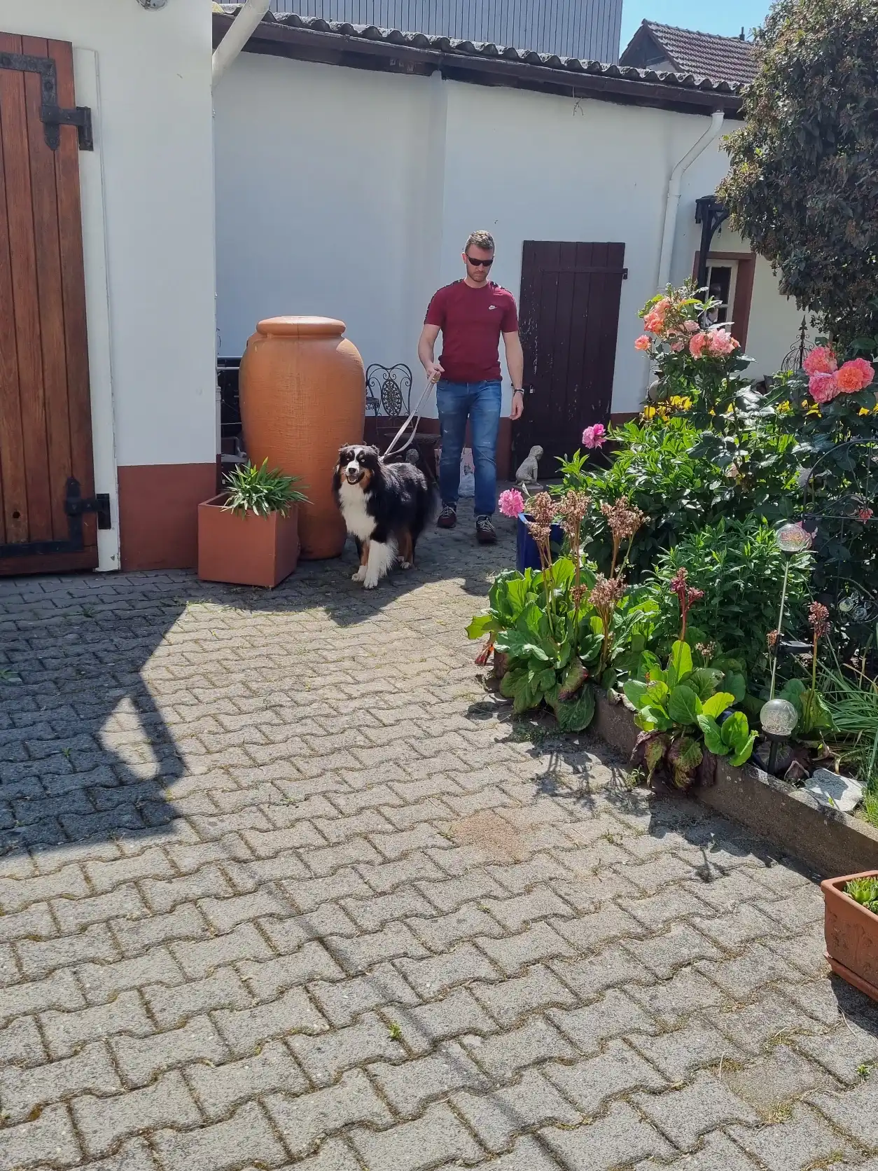 image-21