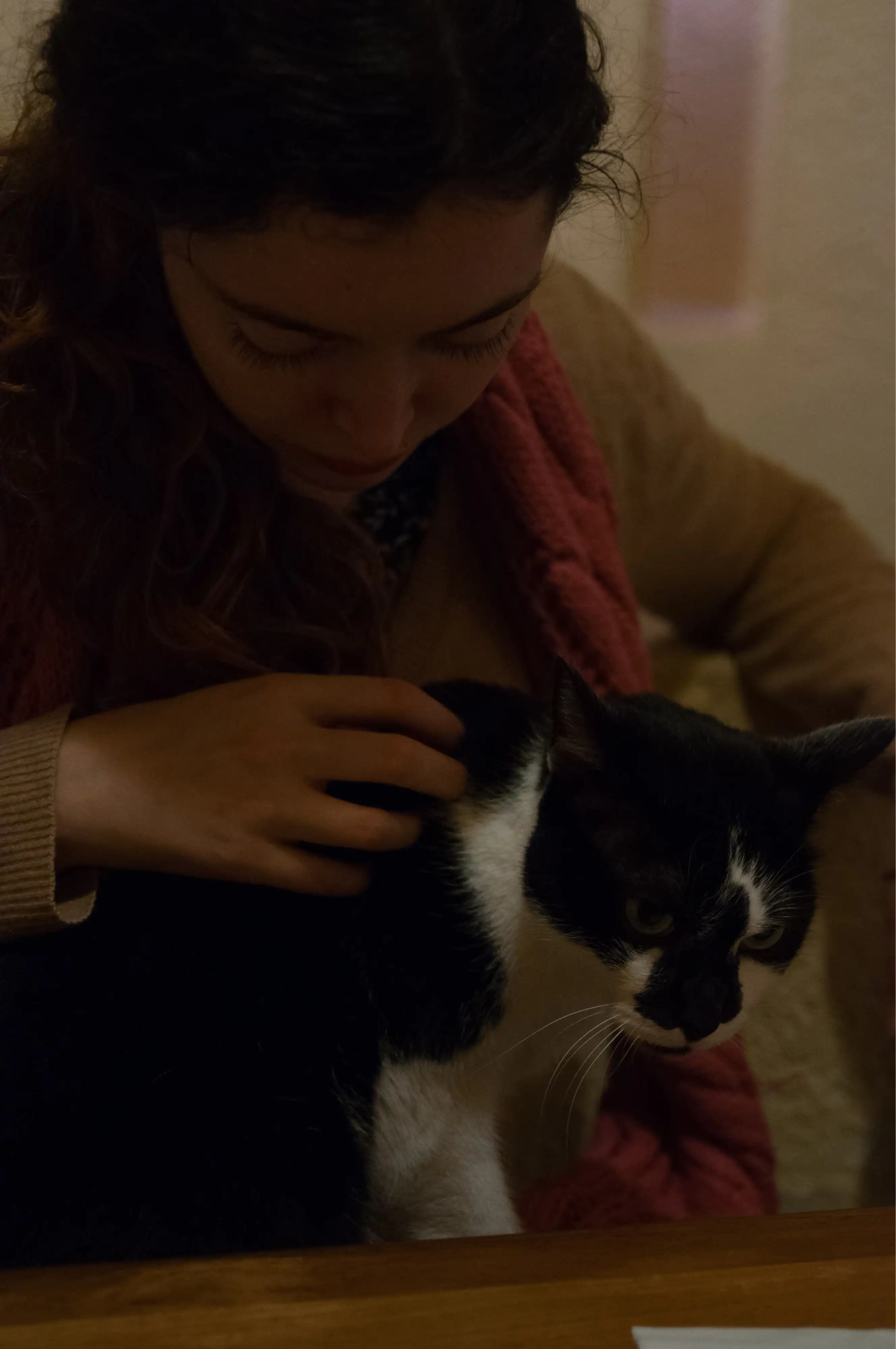 image-6