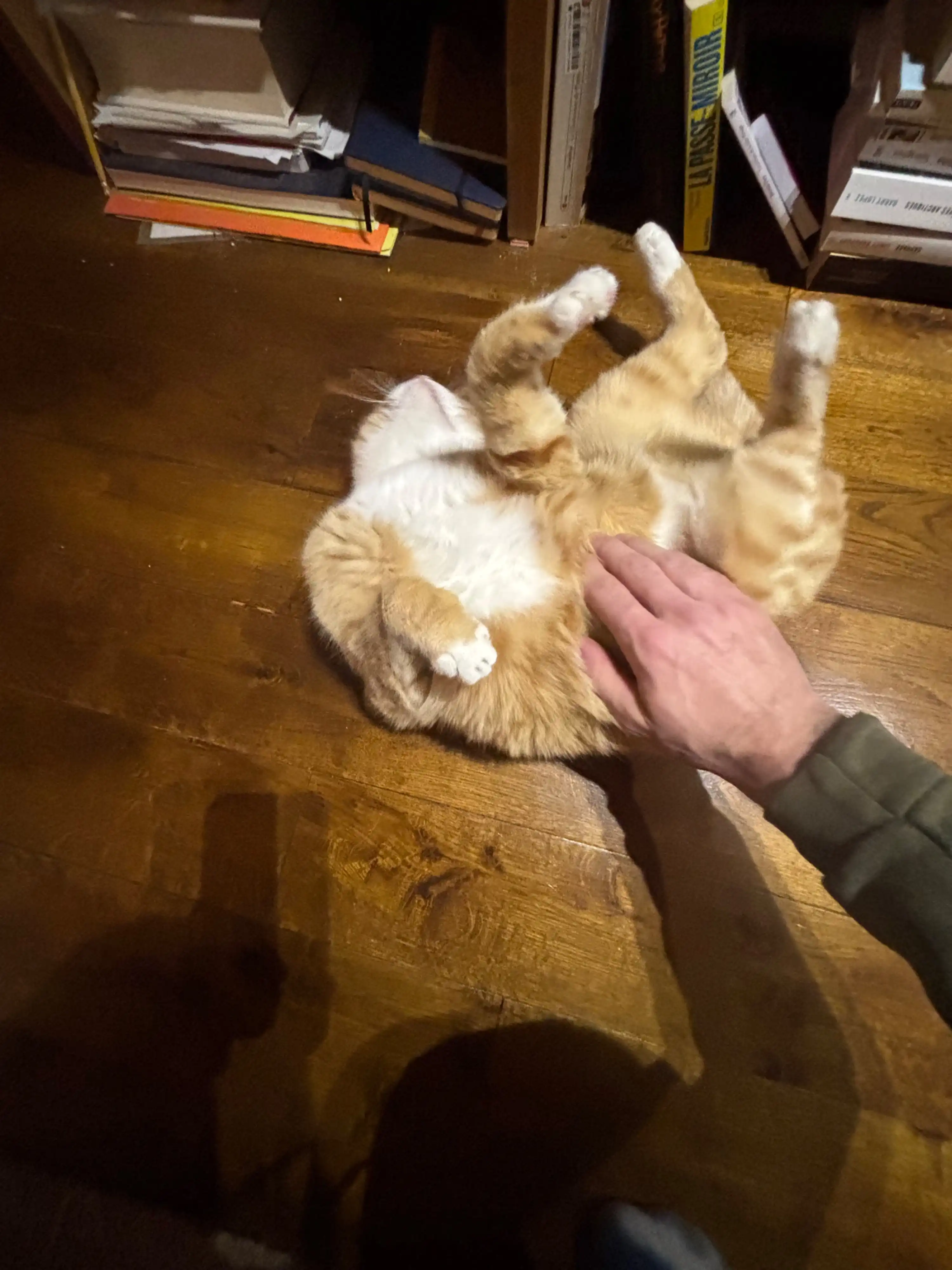 image-9