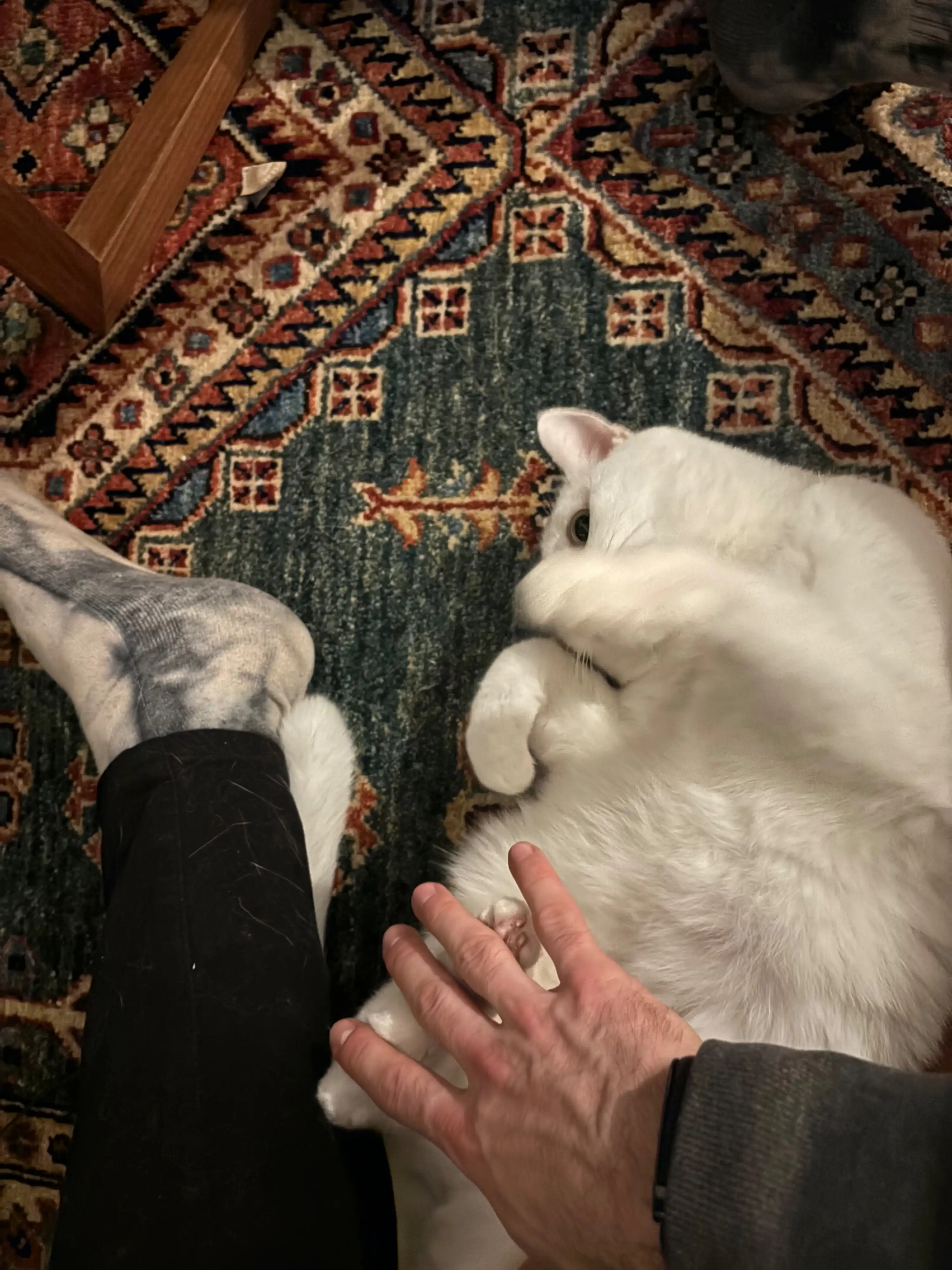 image-10