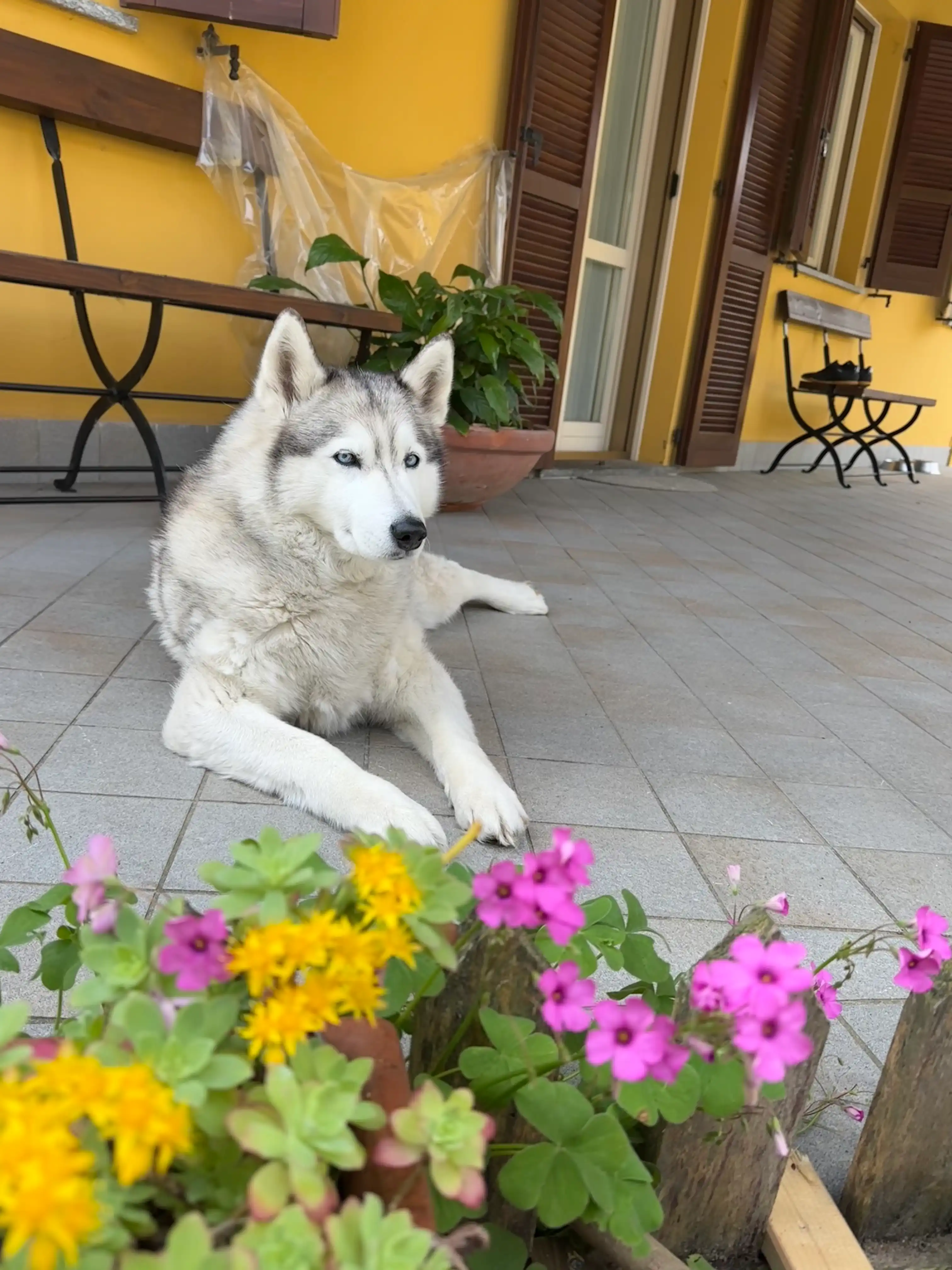 image-12