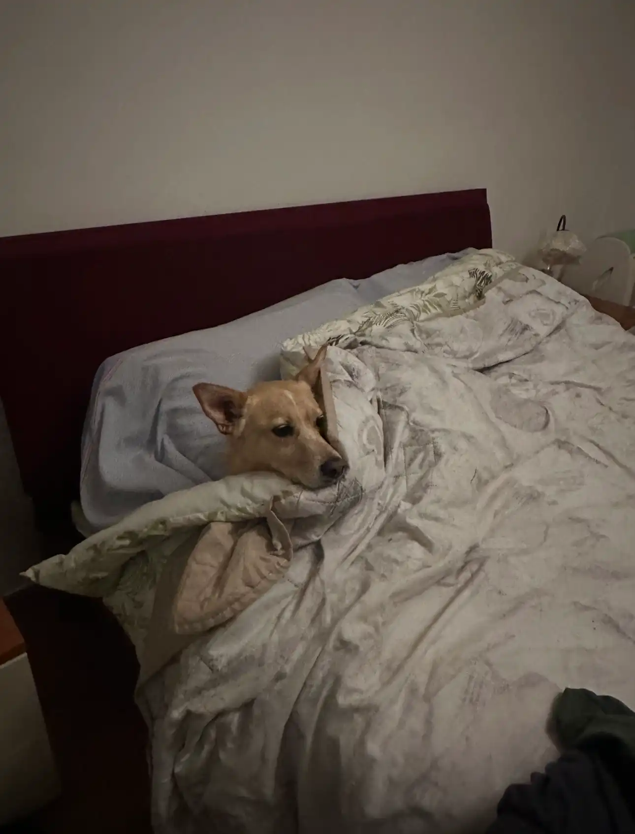 image-9