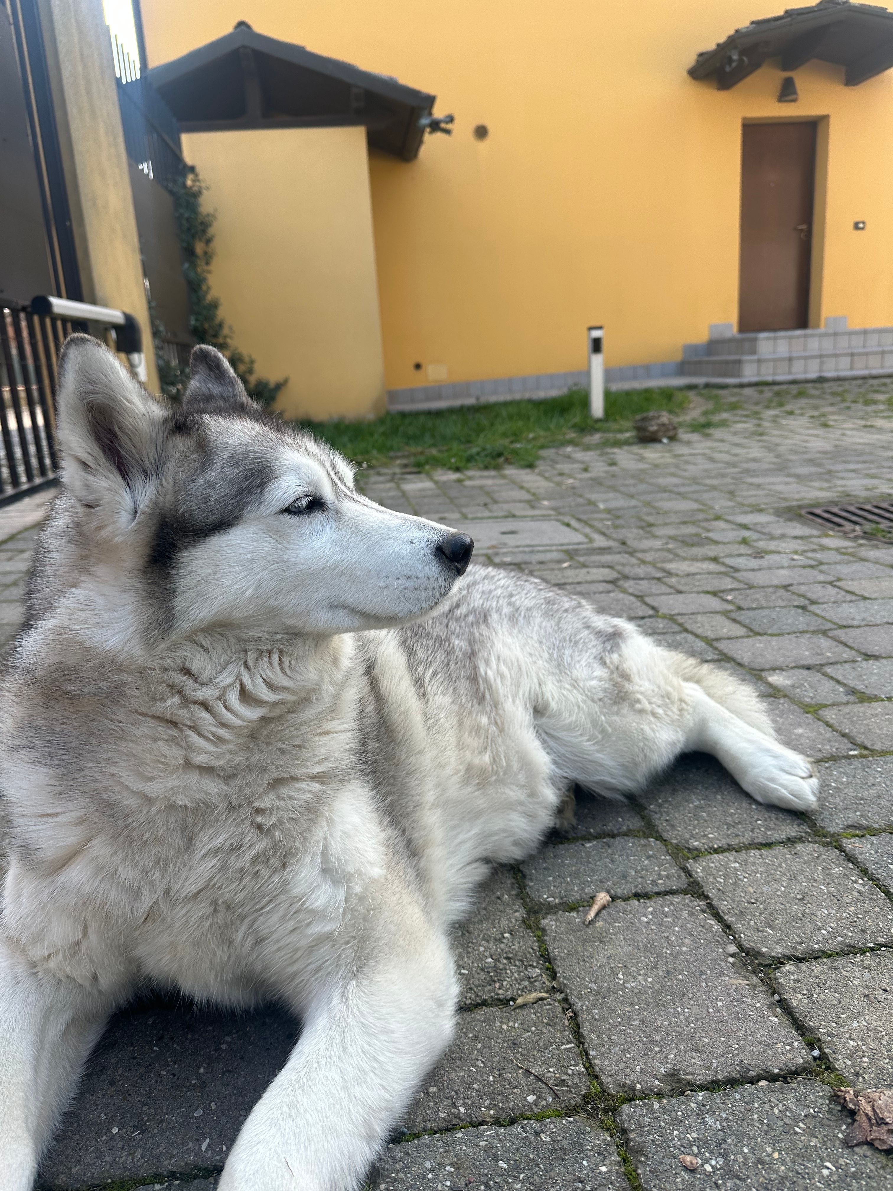 image-7