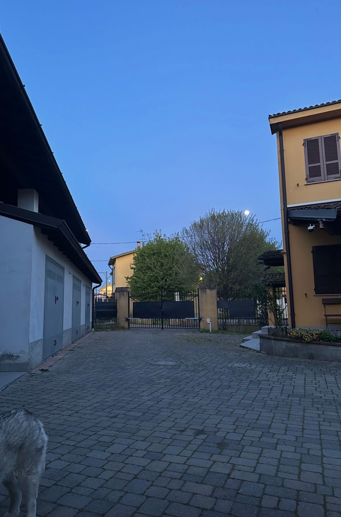 image-19