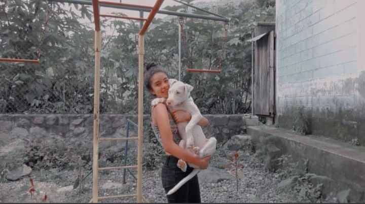 image-2