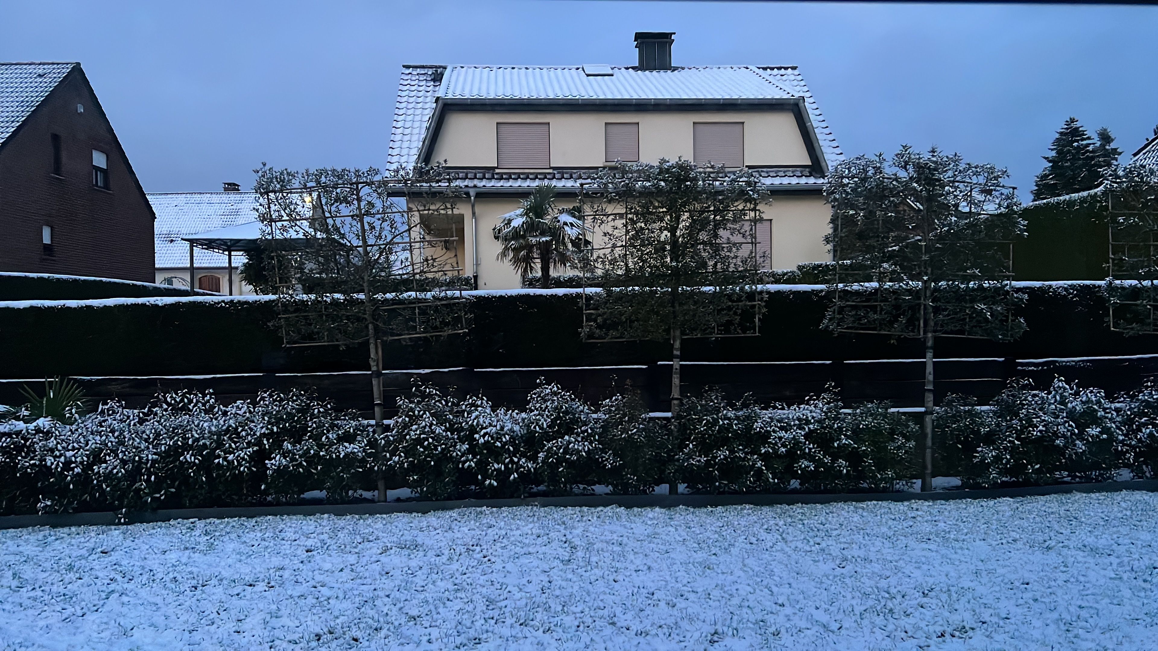image-8