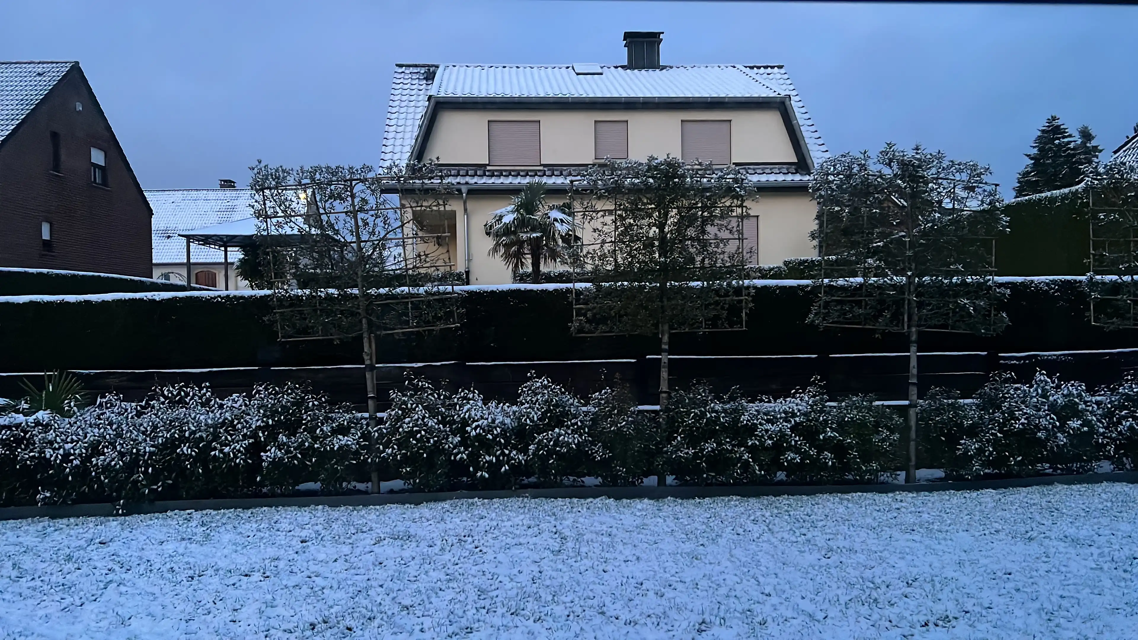 image-8
