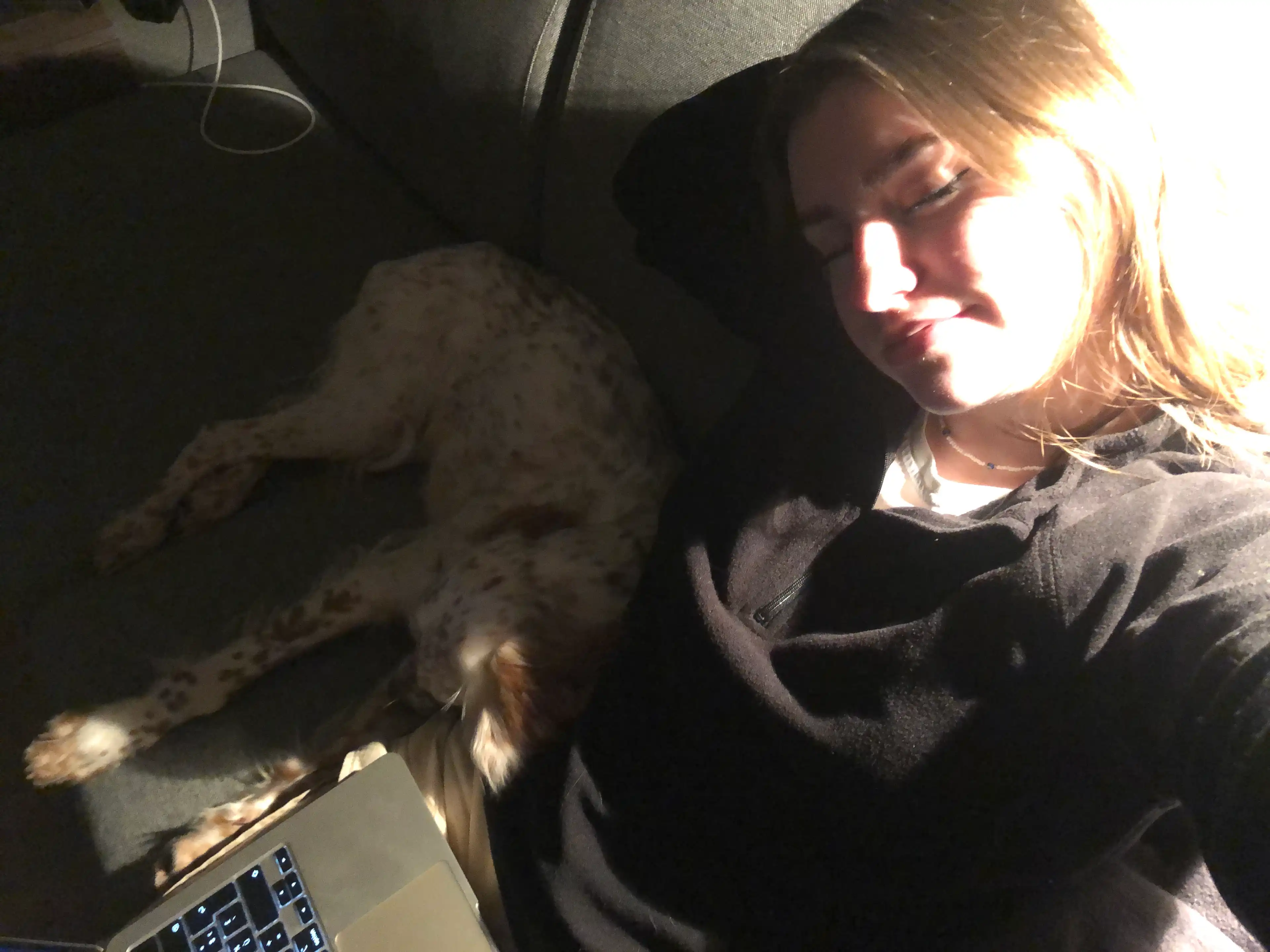 image-6