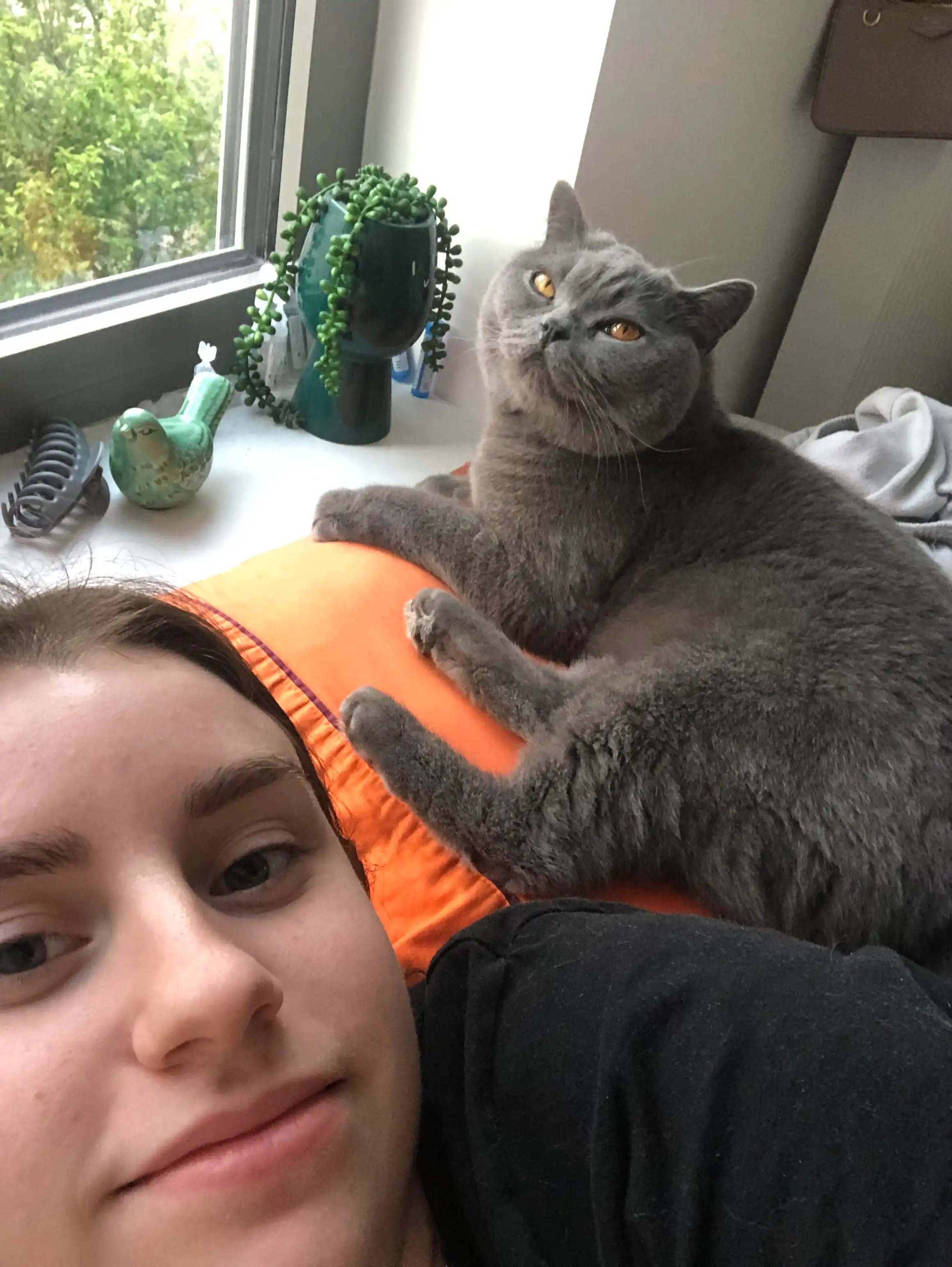 image-8
