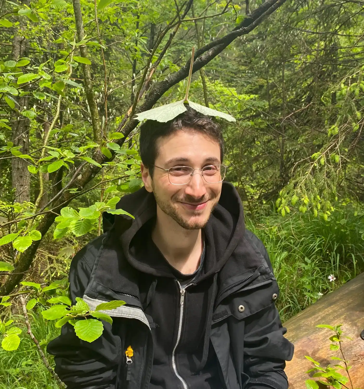 image-8