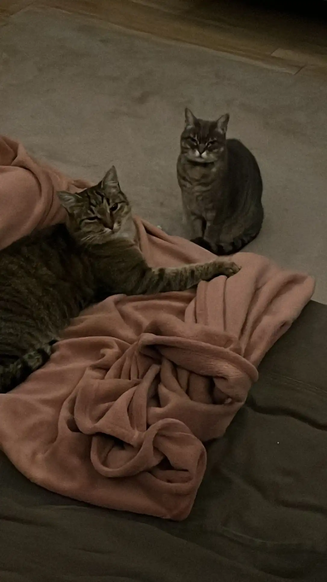 image-5