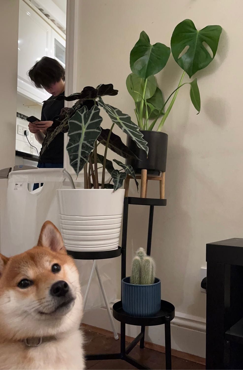 image-6
