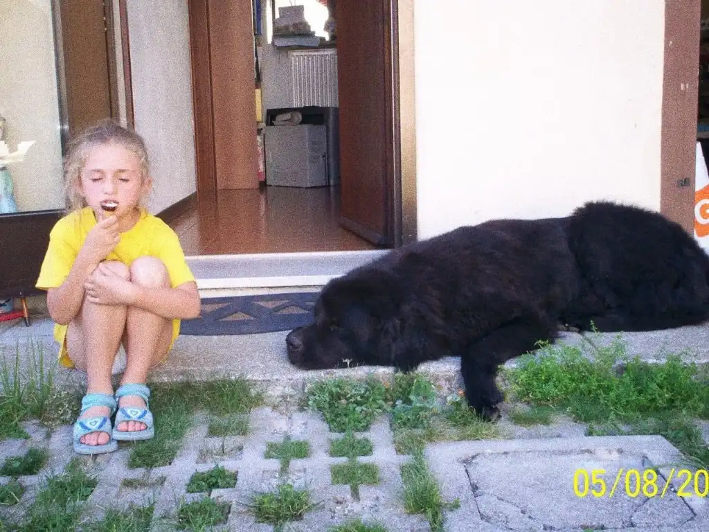 image-7