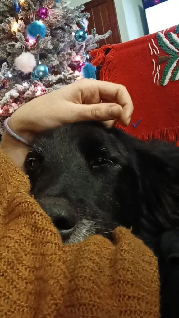 image-6