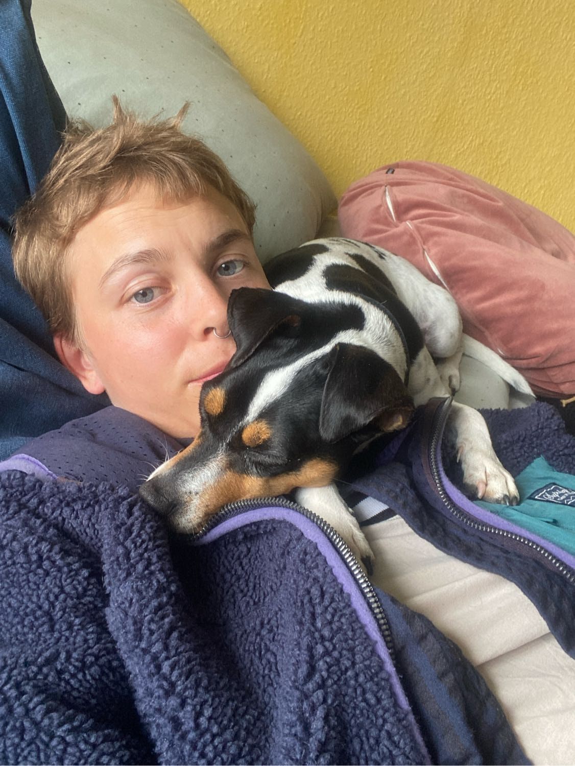 image-29