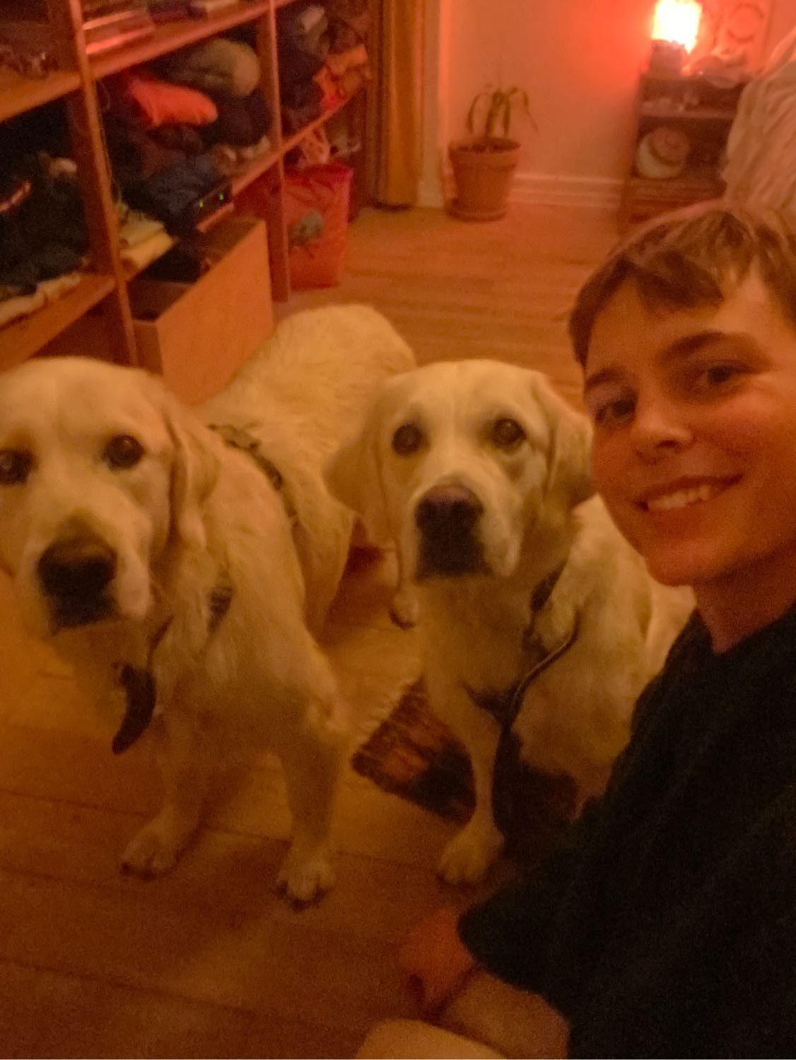 image-6