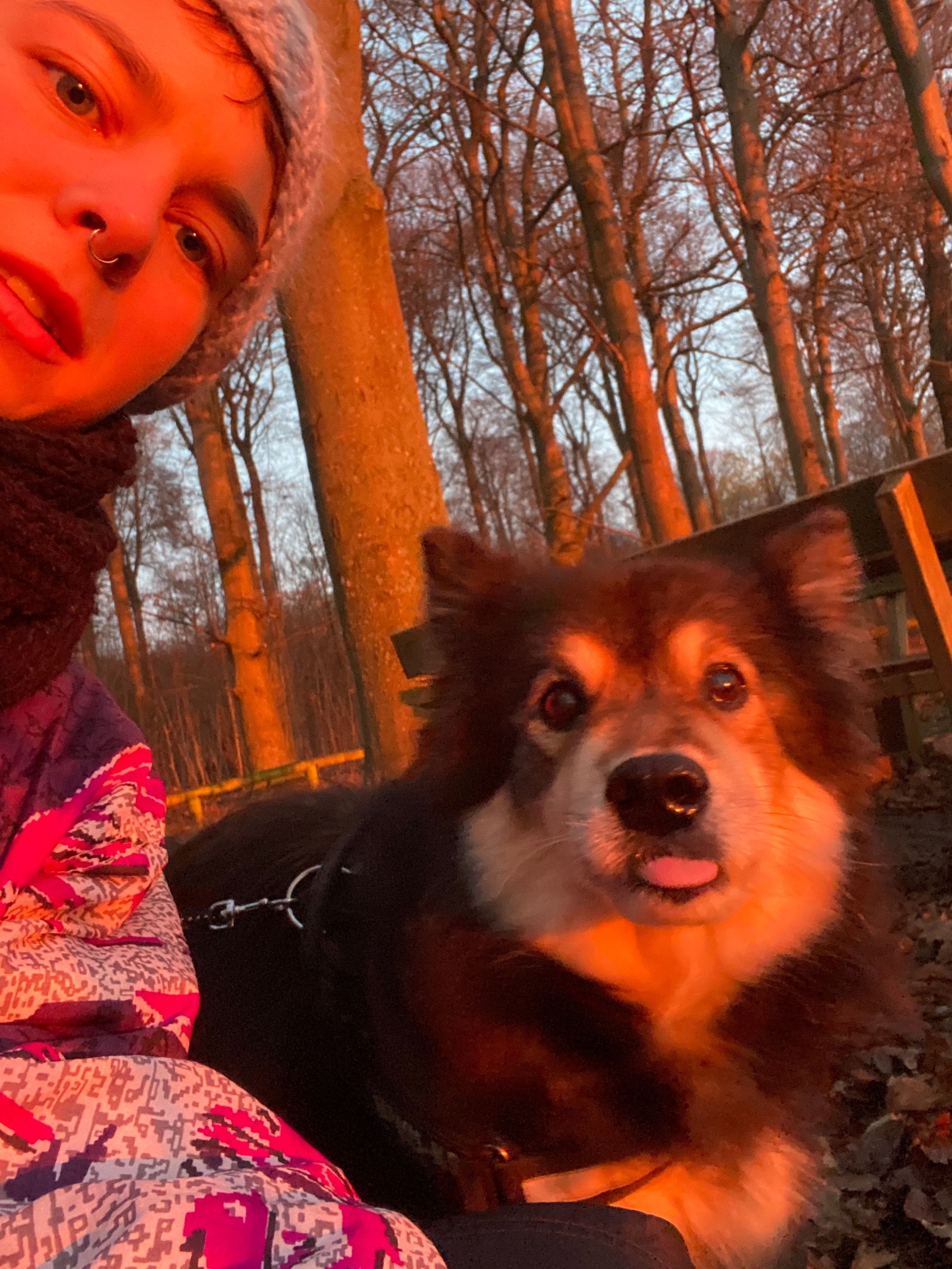 image-4