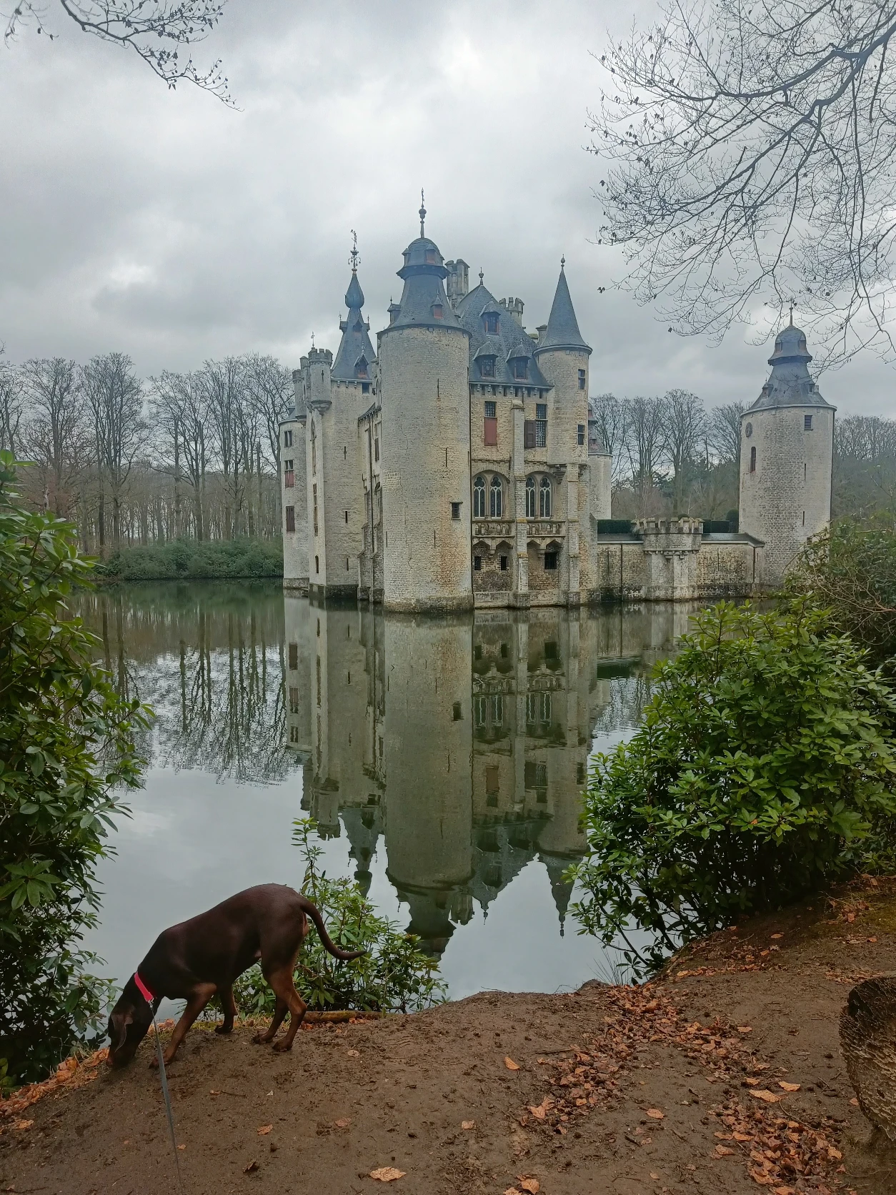 image-4
