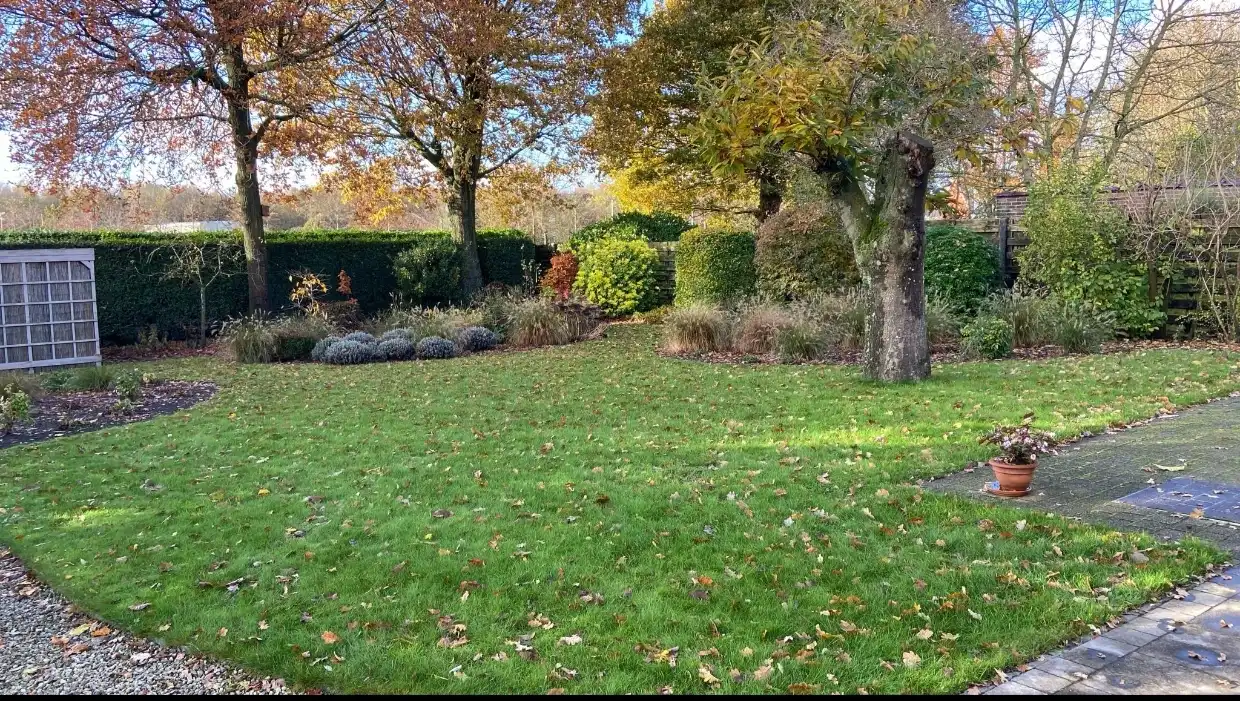 image-15