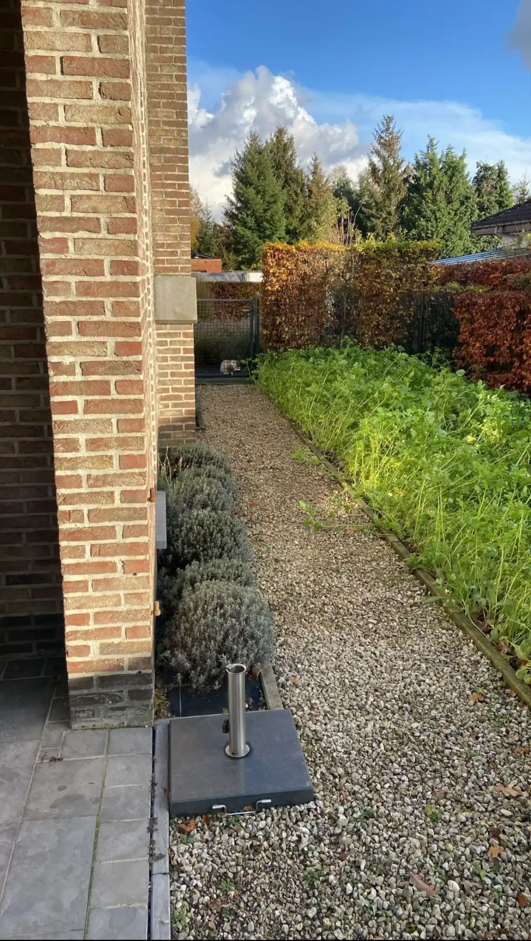 image-17