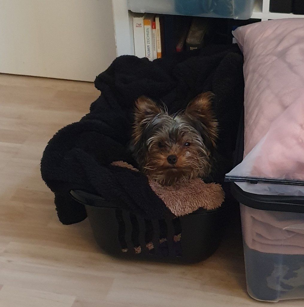 image-12